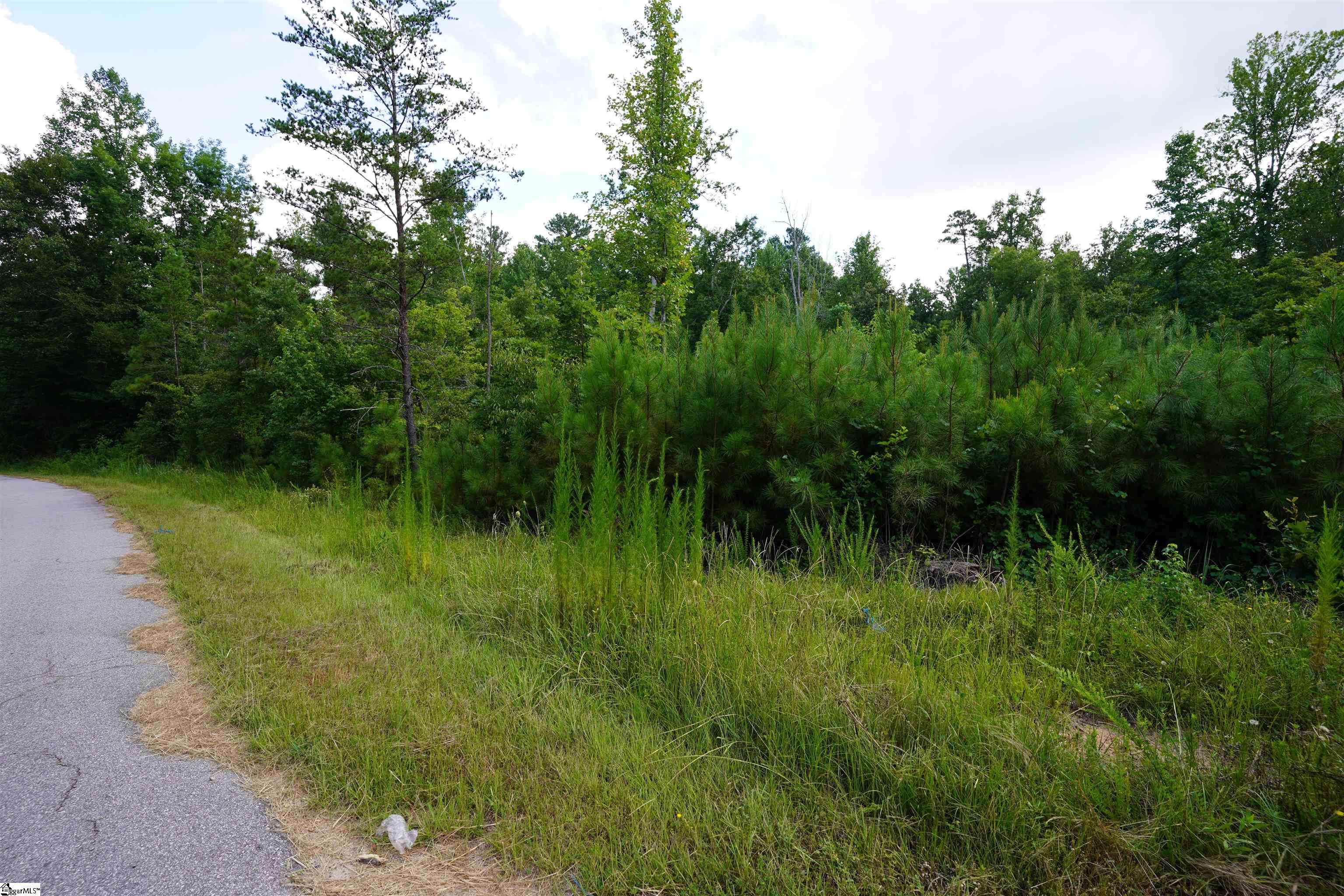 00 Crowe Creek Road Six Mile, SC 29682
