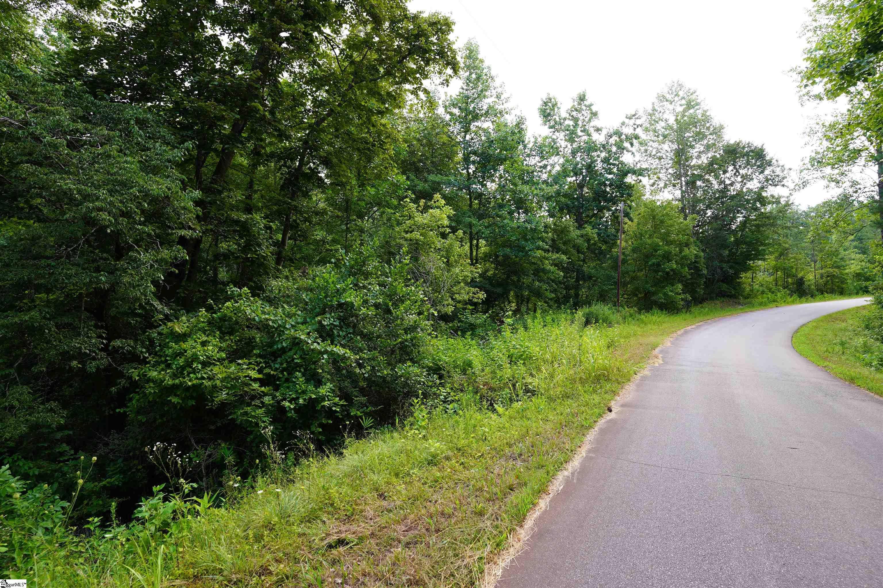 00 Crowe Creek Road Six Mile, SC 29682