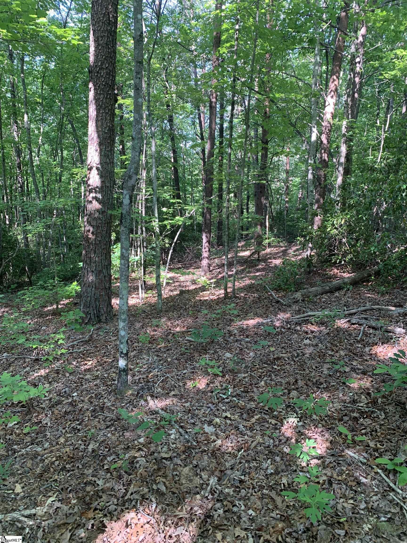 777 Trammell Road Travelers Rest, SC 29690