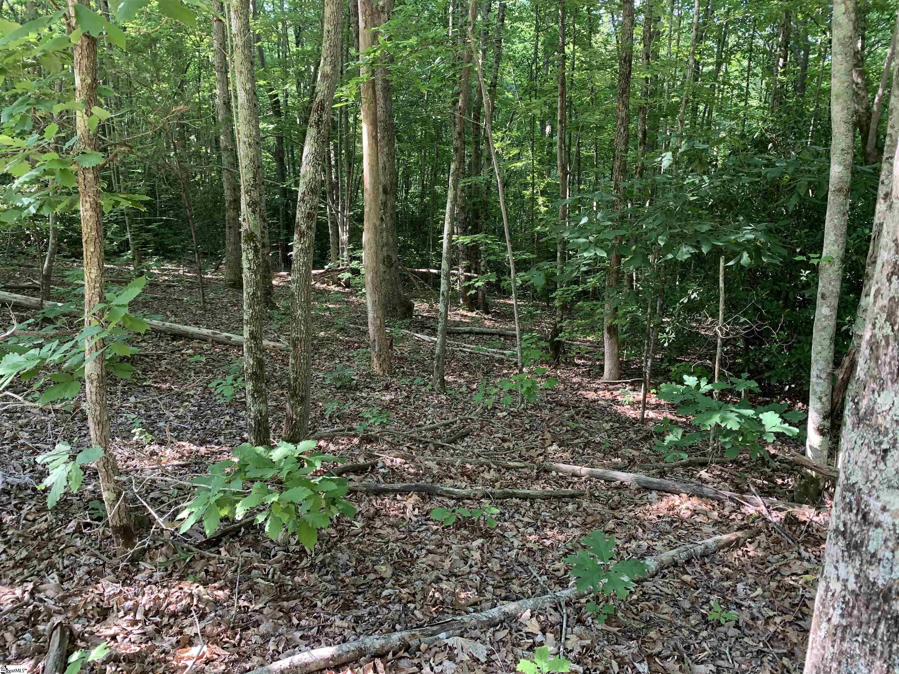 777 Trammell Road Travelers Rest, SC 29690