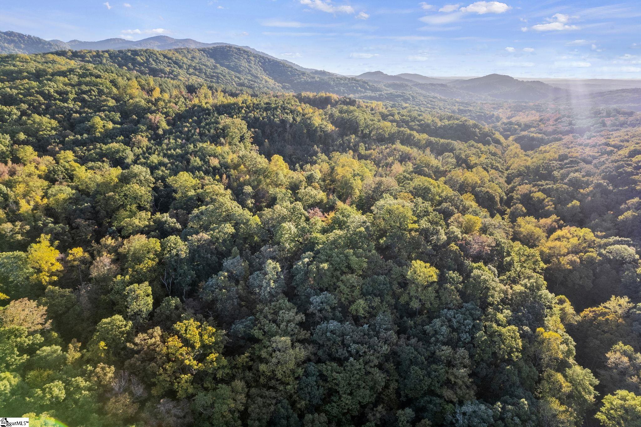 35026 Dividing Water Road Travelers Rest, SC 29690