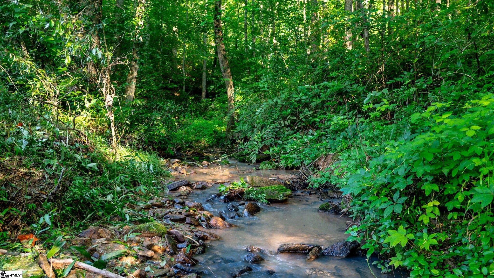 204 Cedar Road Marietta, SC 29661