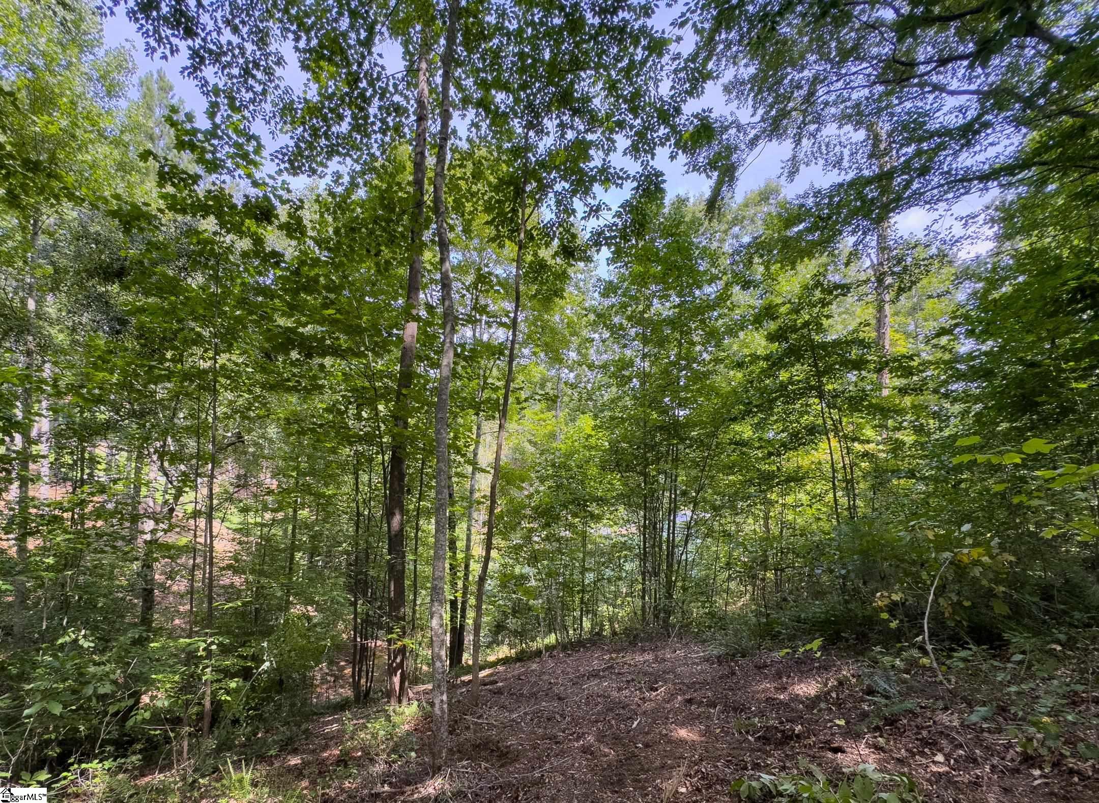 00 Little Keowee Boulevard UNIT Lot 11 West Union, SC 29696