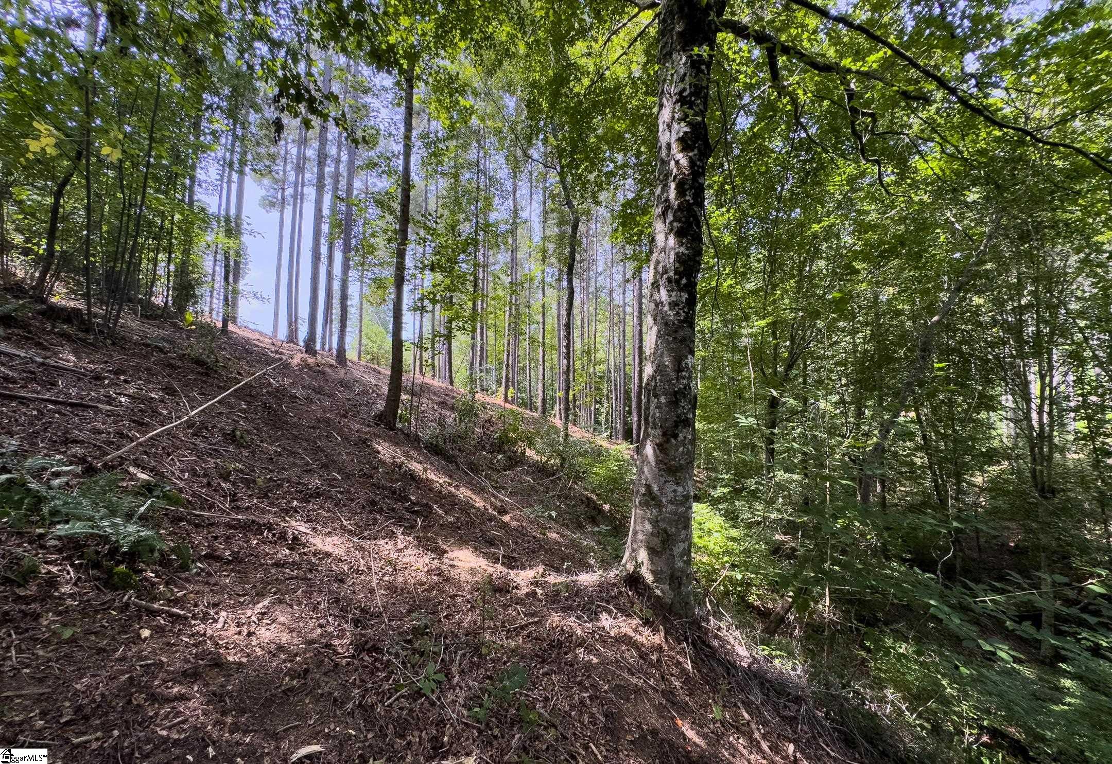 00 Little Keowee Boulevard UNIT Lot 11 West Union, SC 29696