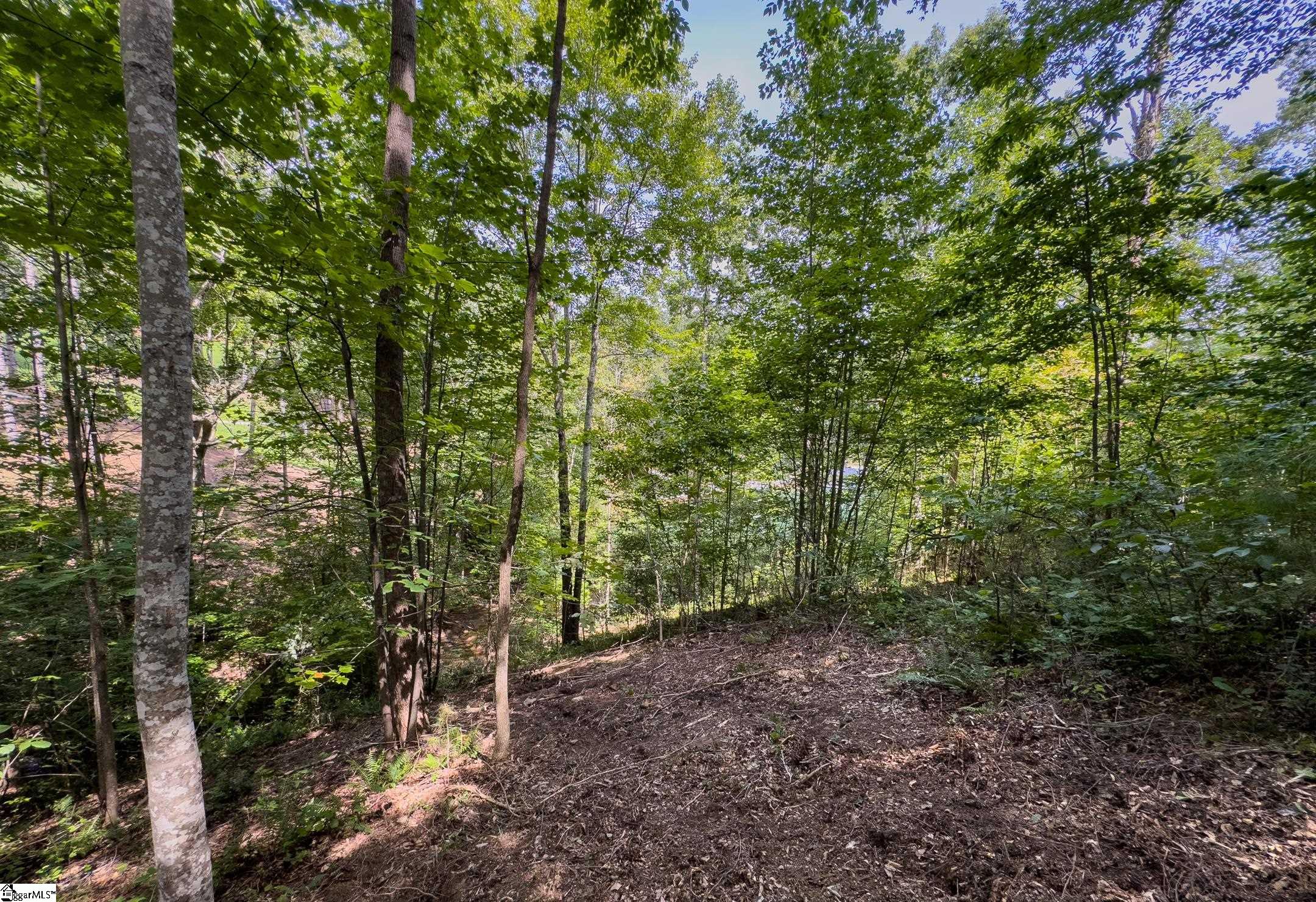 00 Little Keowee Boulevard UNIT Lot 11 West Union, SC 29696
