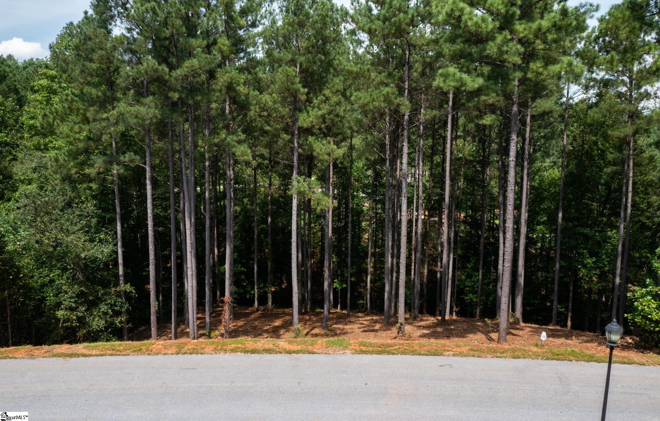 00 Little Keowee Boulevard UNIT Lot 11 West Union, SC 29696