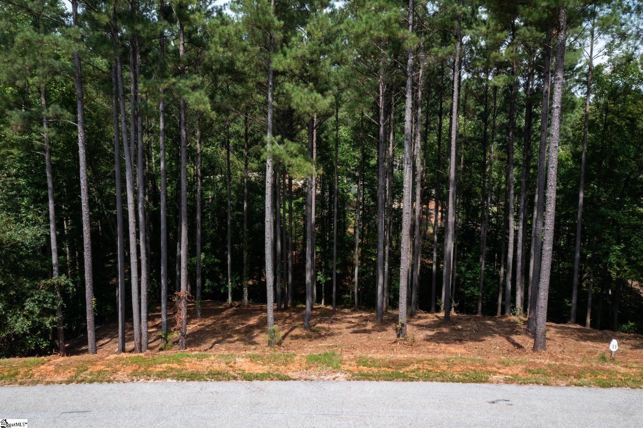 00 Little Keowee Boulevard UNIT Lot 11 West Union, SC 29696