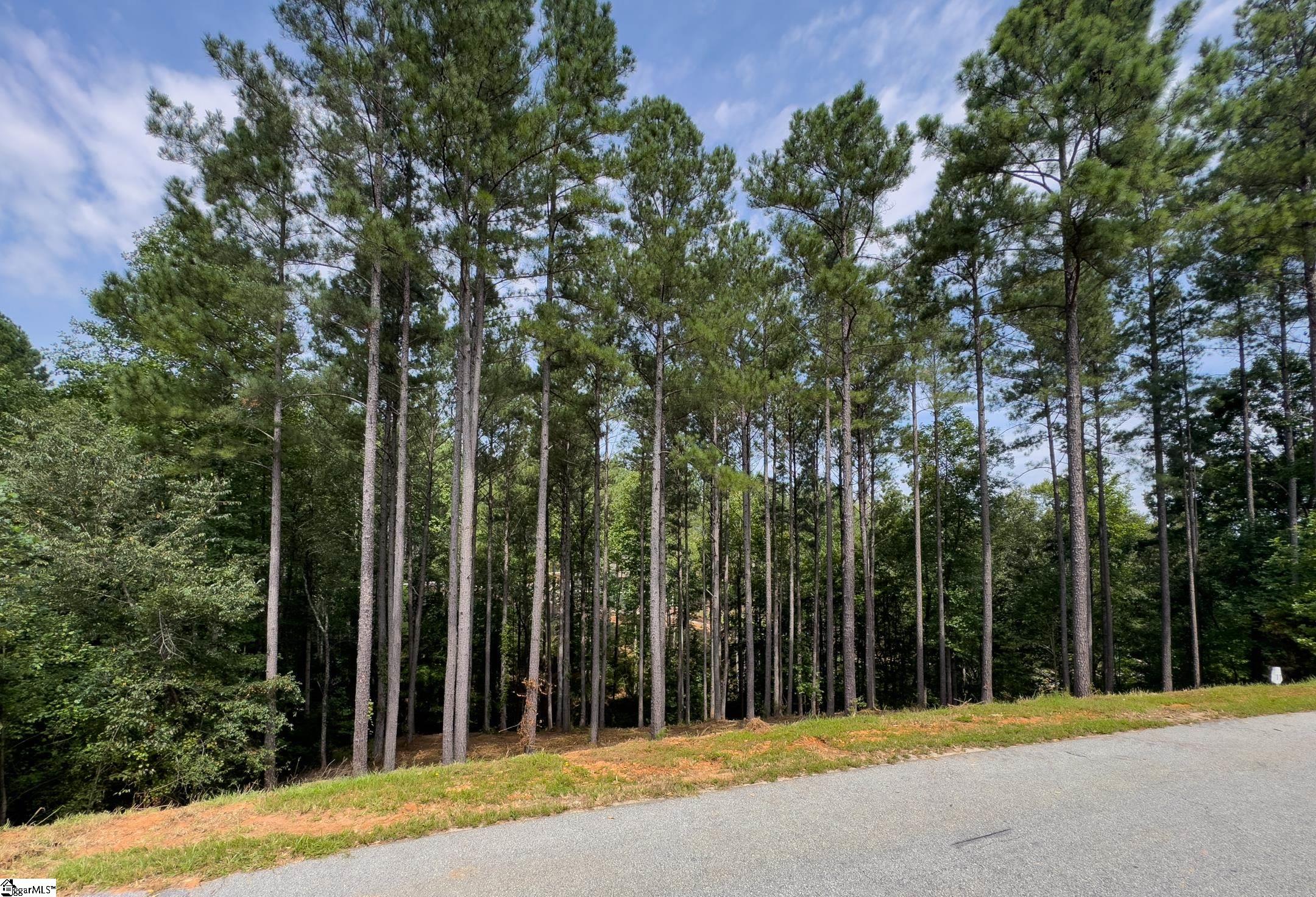 00 Little Keowee Boulevard UNIT Lot 11 West Union, SC 29696