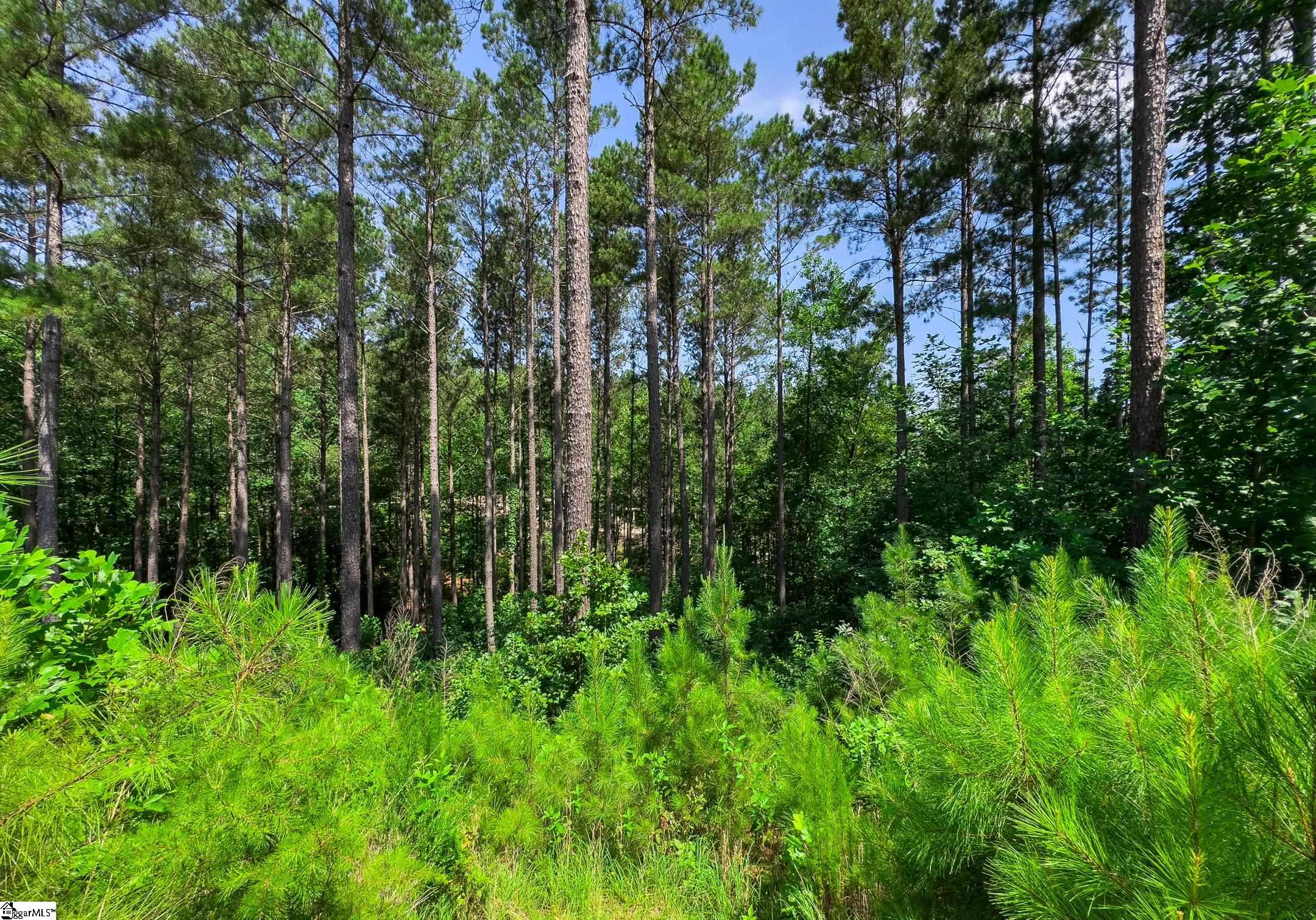 00 Little Keowee Boulevard UNIT Lot 11 West Union, SC 29696