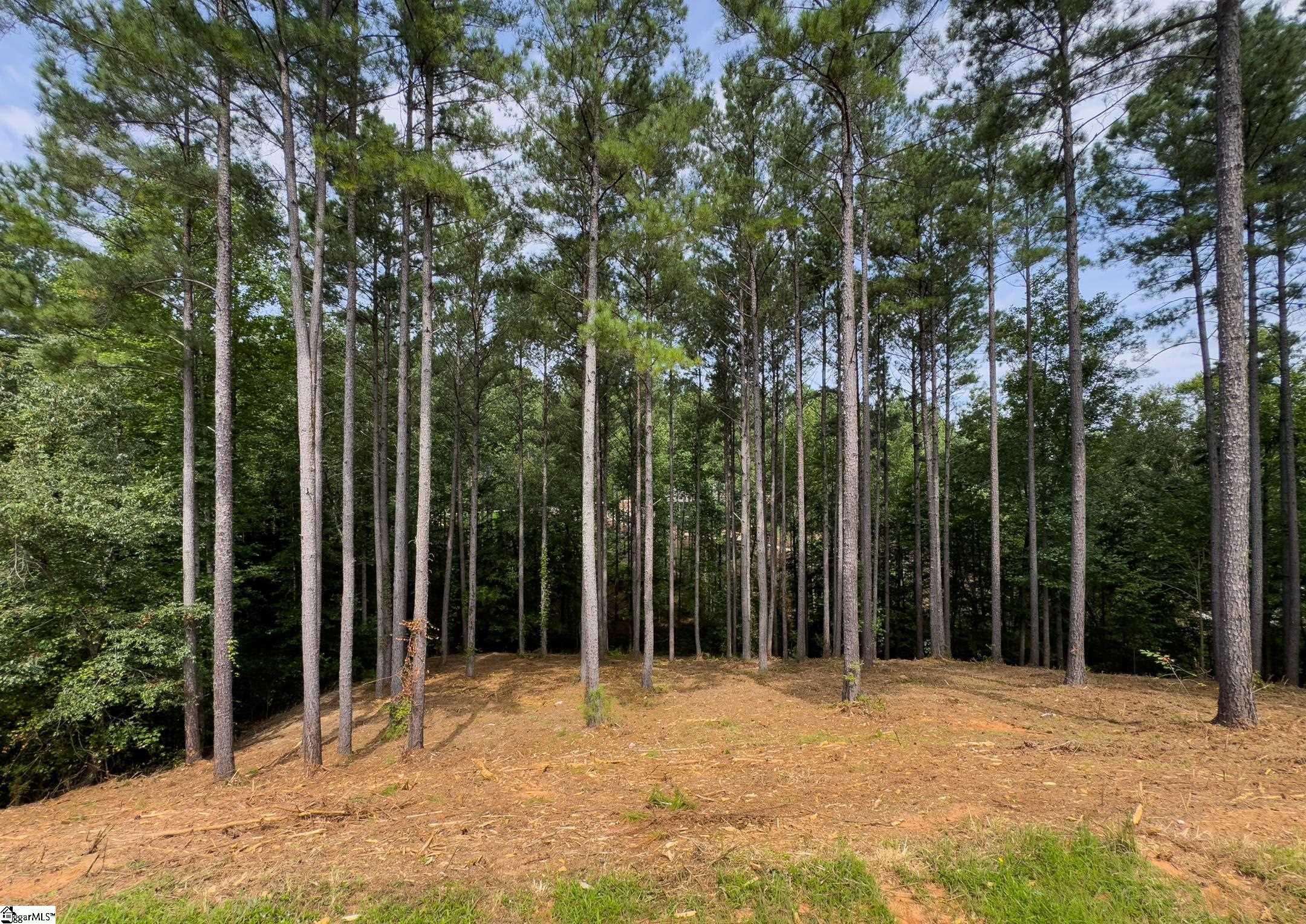 00 Little Keowee Boulevard UNIT Lot 11 West Union, SC 29696
