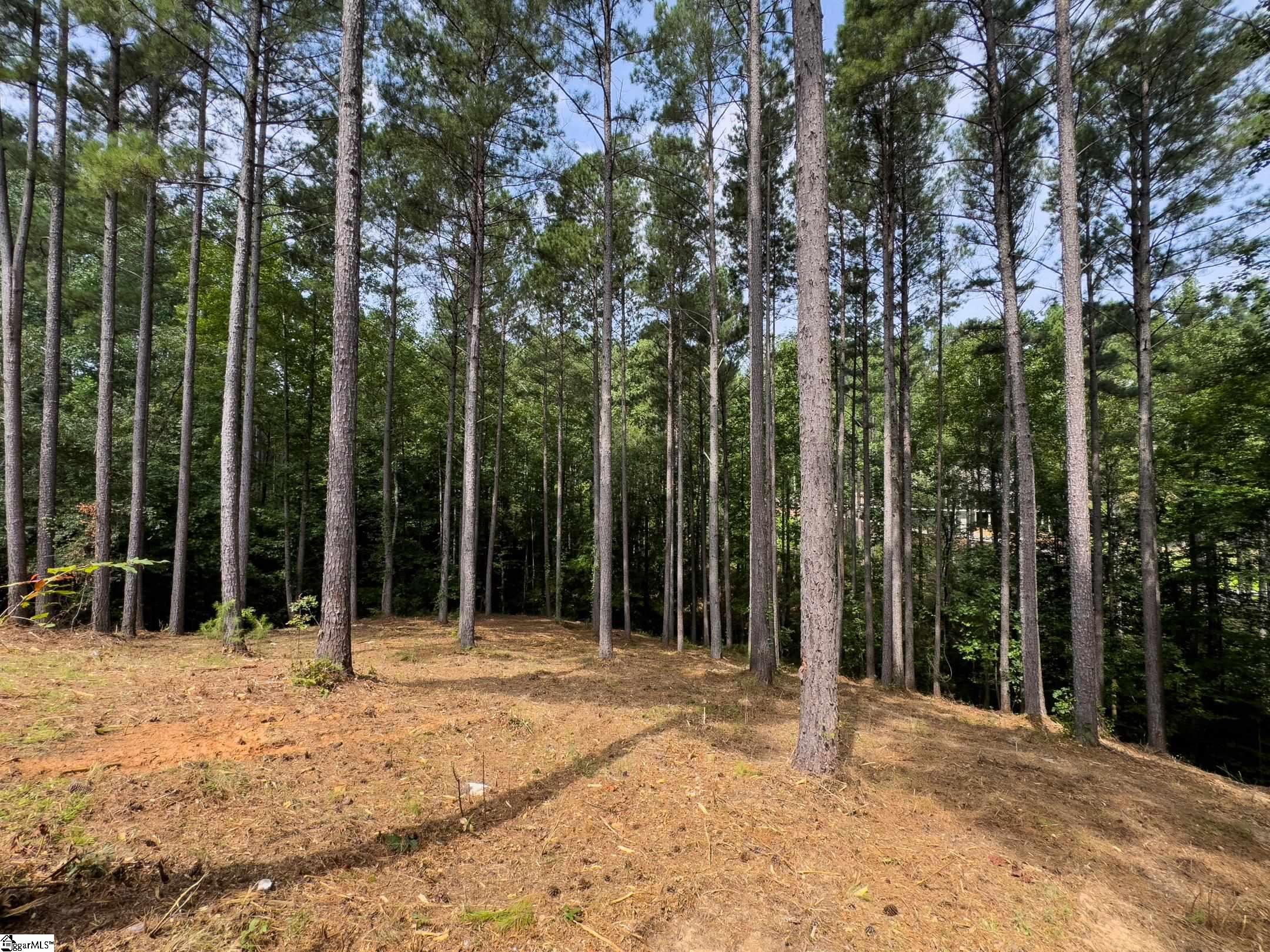00 Little Keowee Boulevard UNIT Lot 11 West Union, SC 29696
