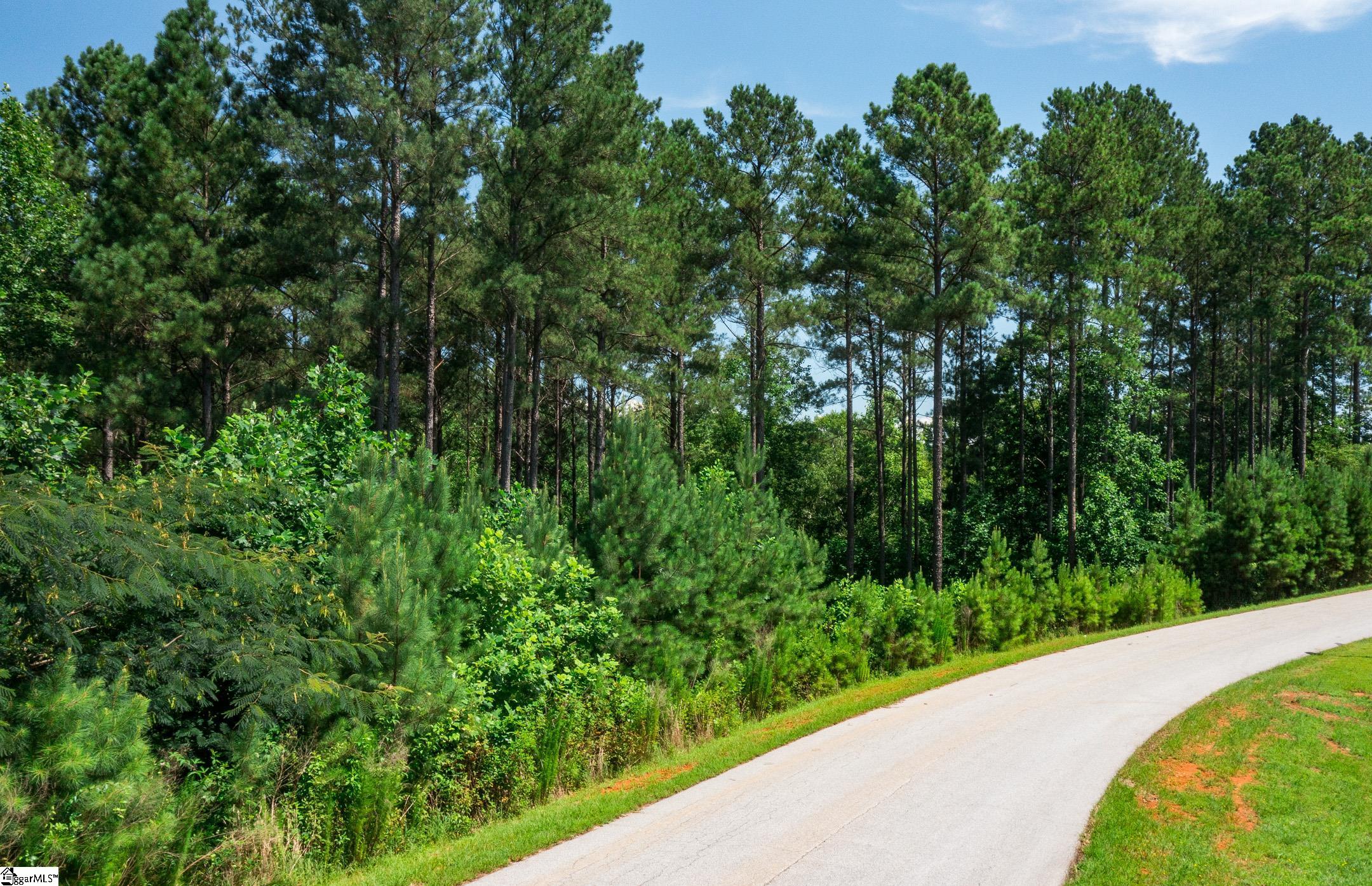 00 Little Keowee Boulevard UNIT Lot 11 West Union, SC 29696