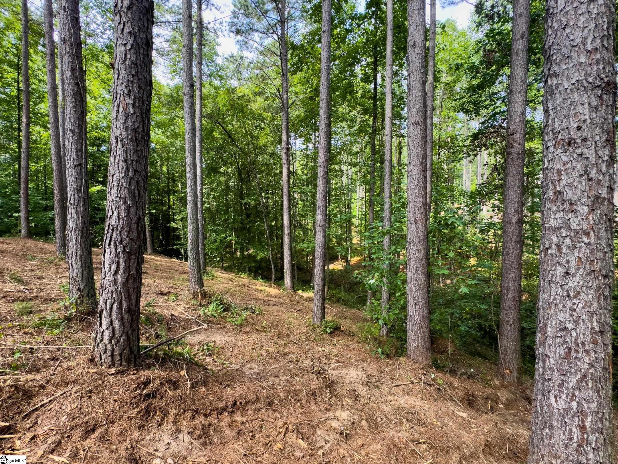 00 Little Keowee Boulevard UNIT Lot 11 West Union, SC 29696