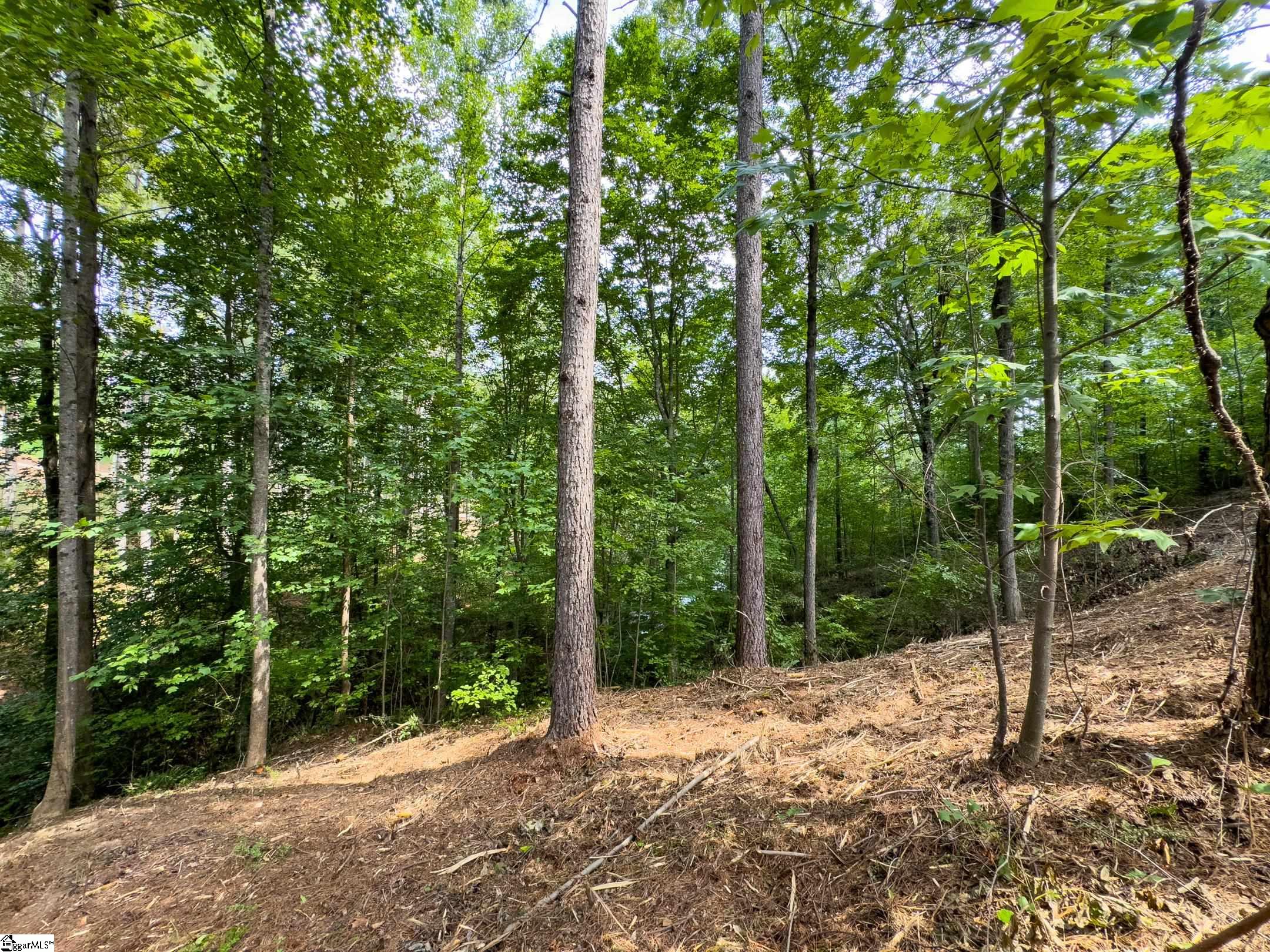 00 Little Keowee Boulevard UNIT Lot 11 West Union, SC 29696