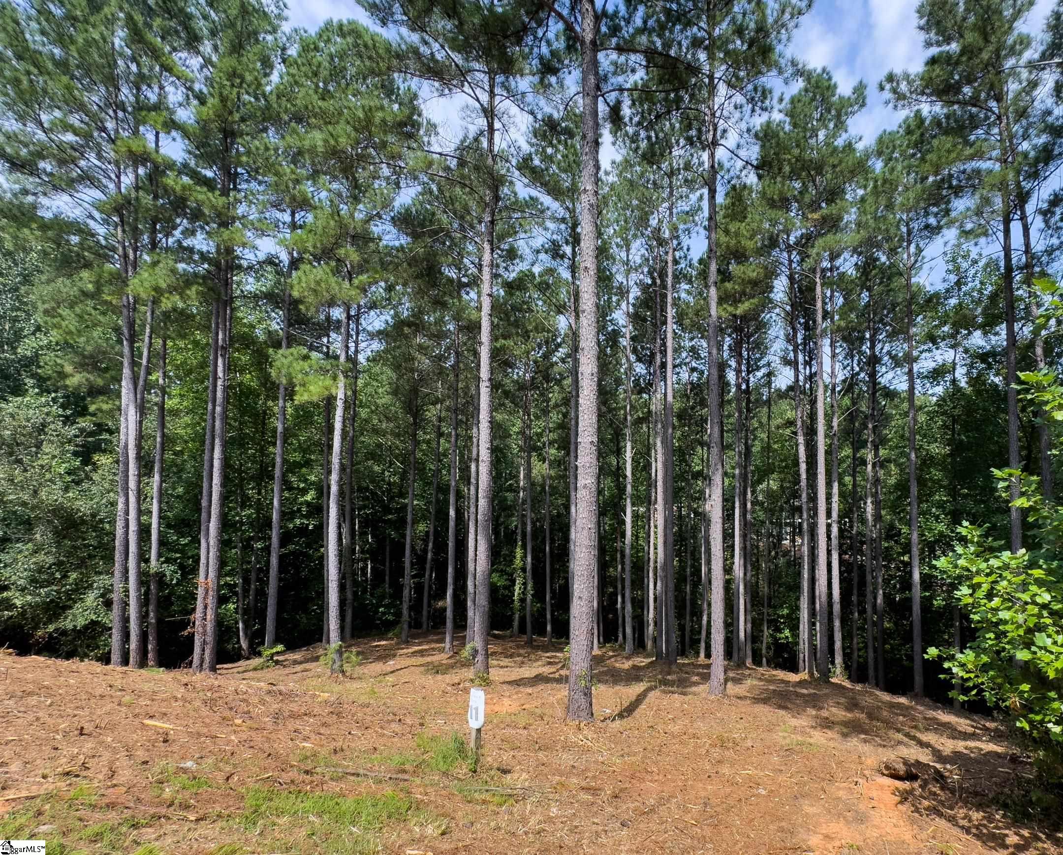 00 Little Keowee Boulevard UNIT Lot 11 West Union, SC 29696