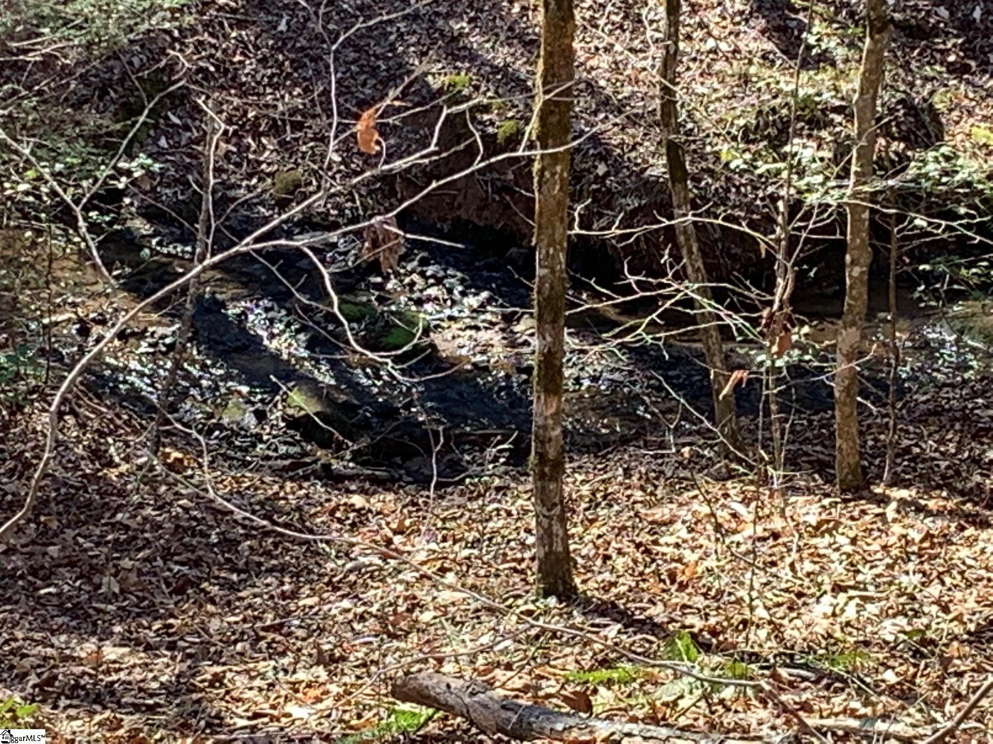 00 Saw Mill Road Marietta, SC 29661