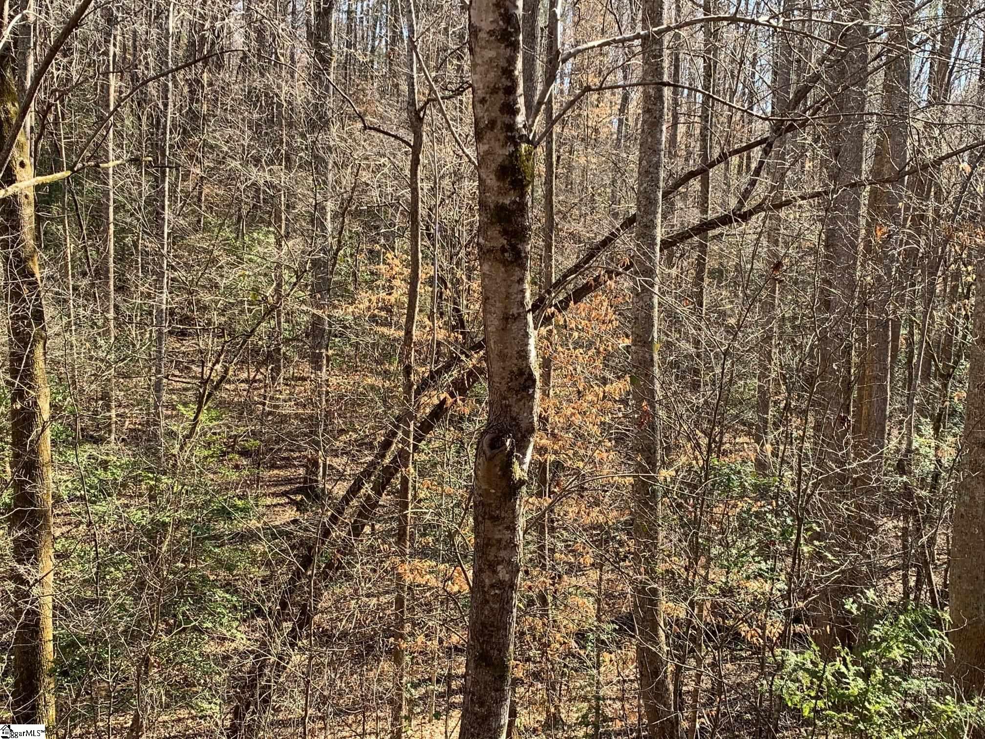 00 Saw Mill Road Marietta, SC 29661