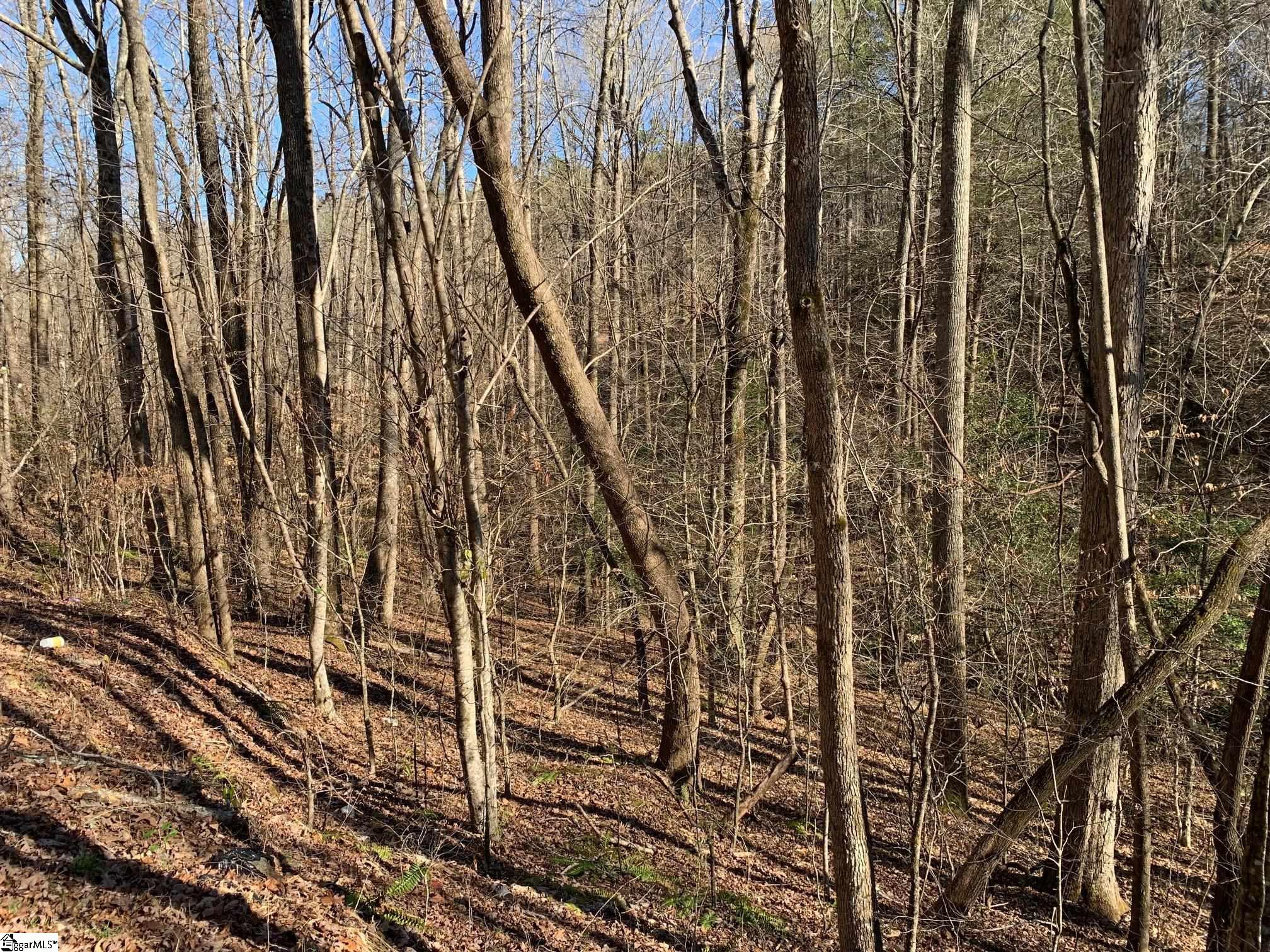 00 Saw Mill Road Marietta, SC 29661