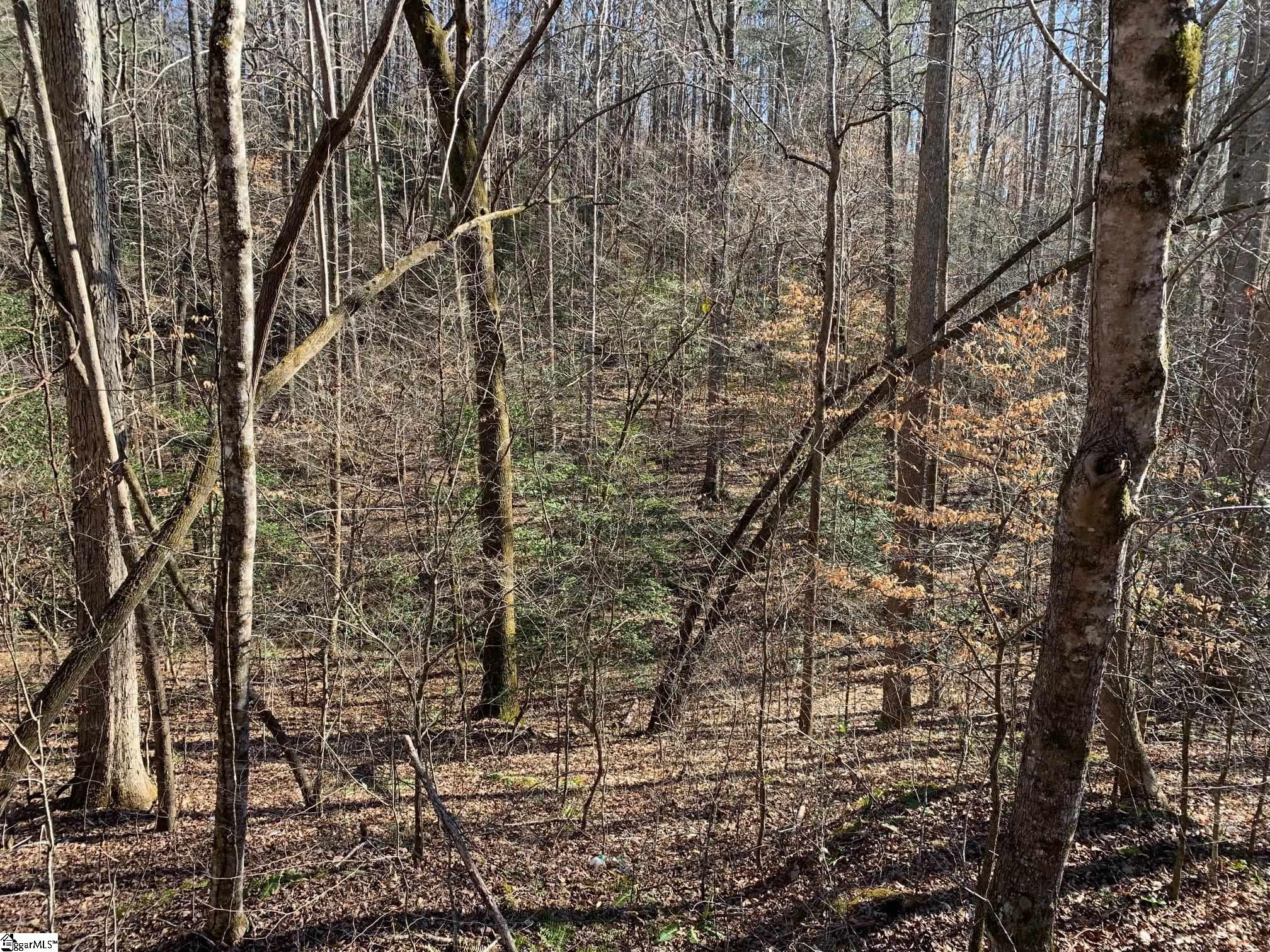 00 Saw Mill Road Marietta, SC 29661