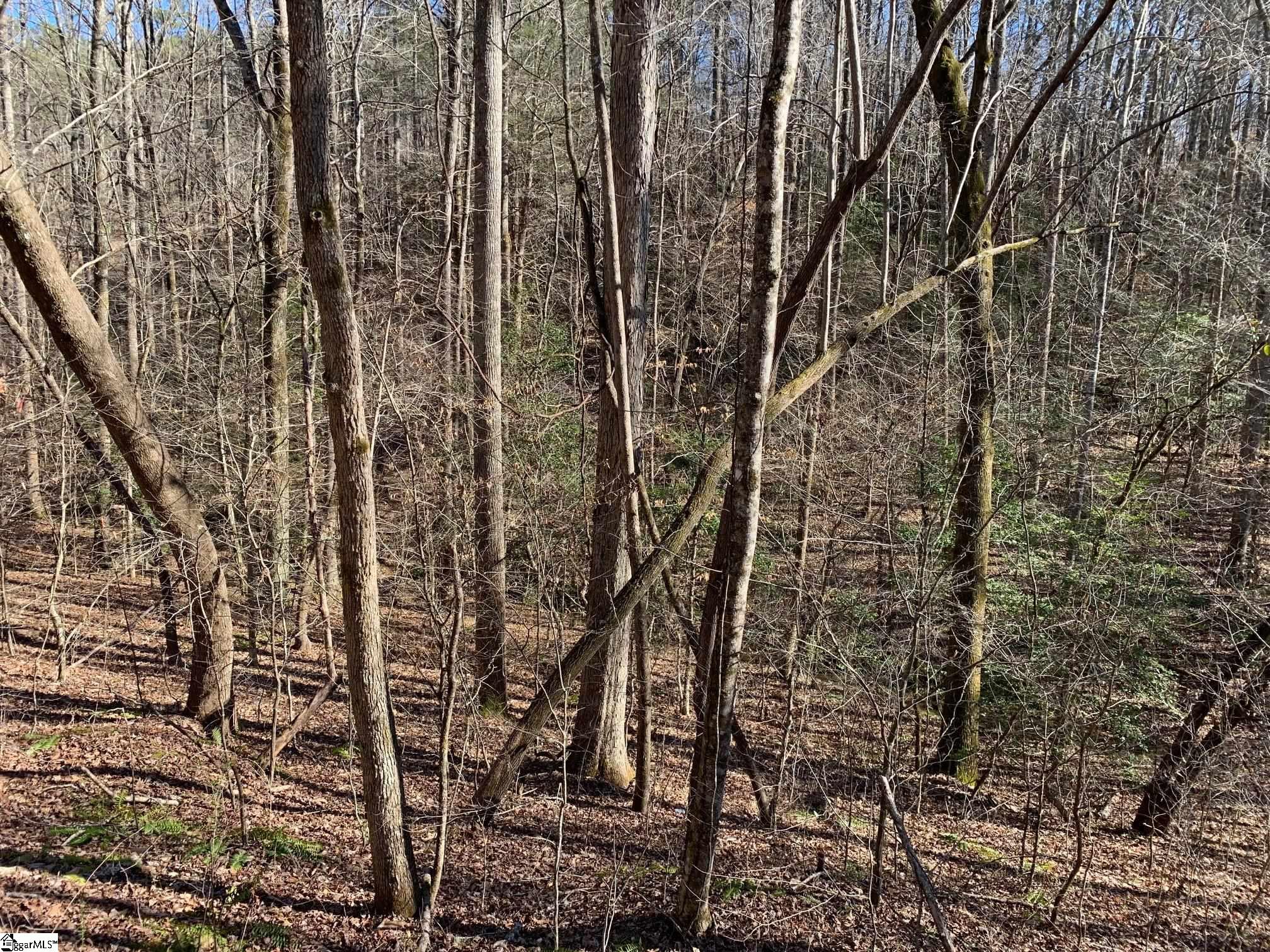 00 Saw Mill Road Marietta, SC 29661