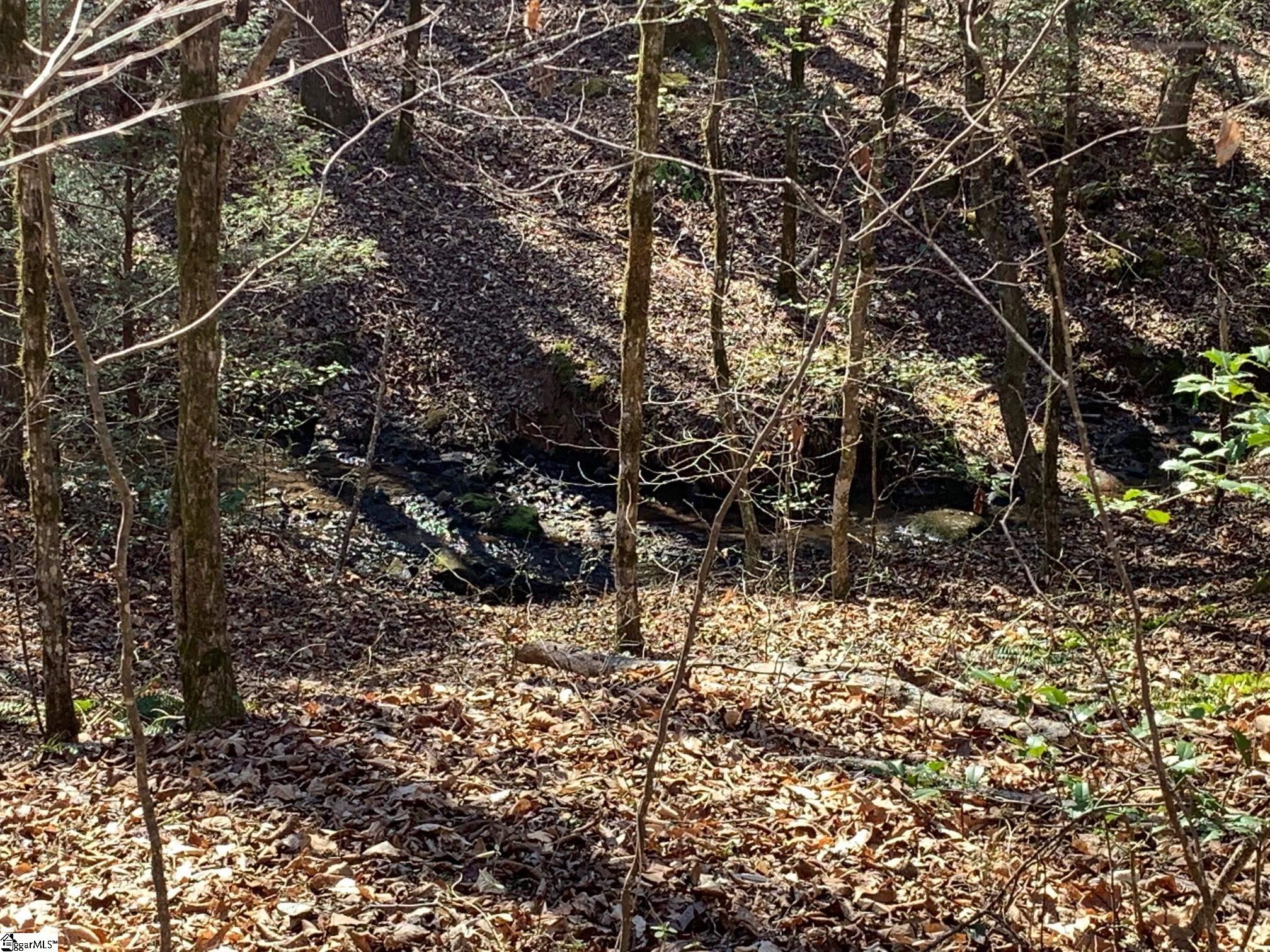00 Saw Mill Road Marietta, SC 29661