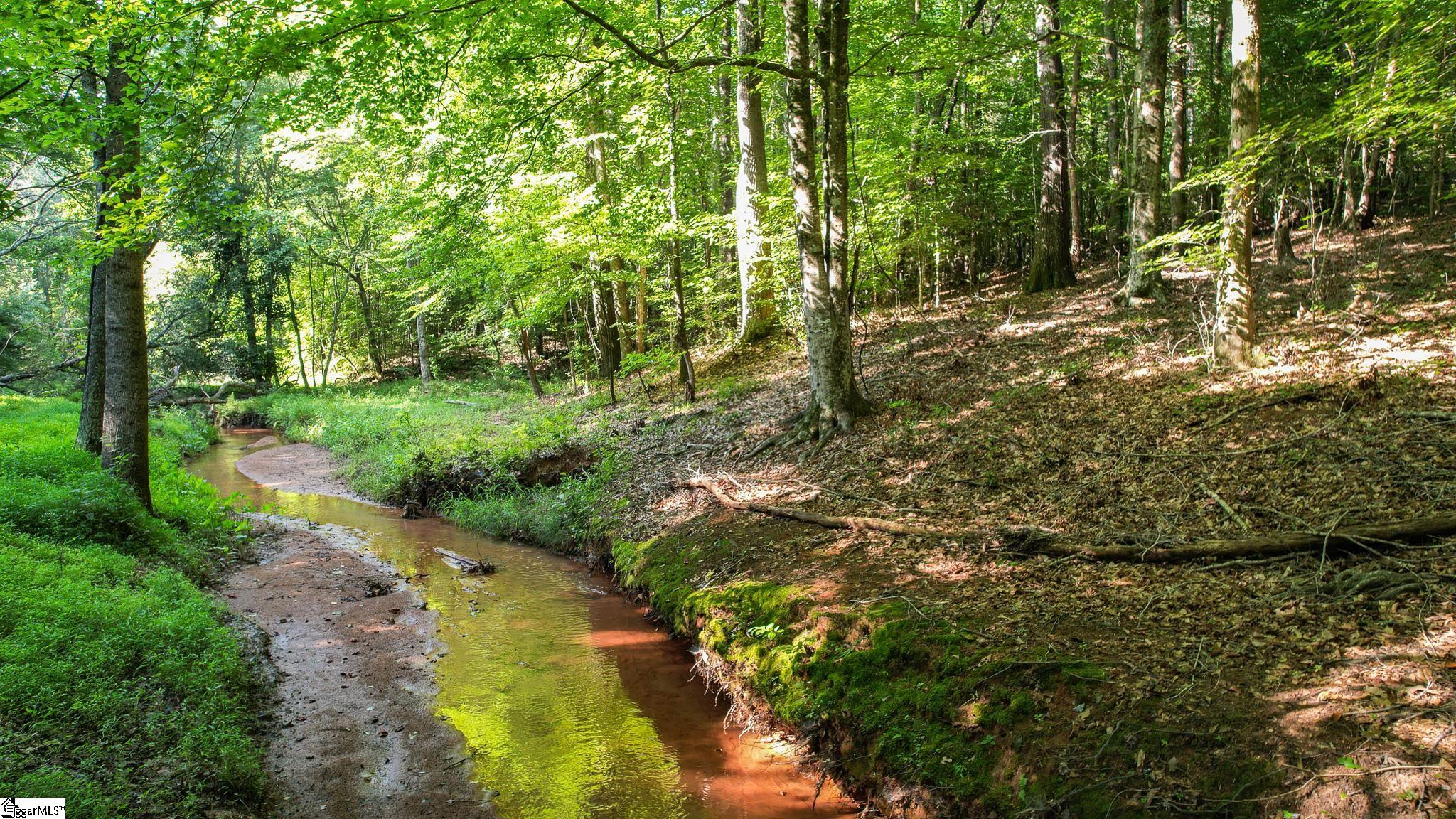 00 Woodbine Road Liberty, SC 29657