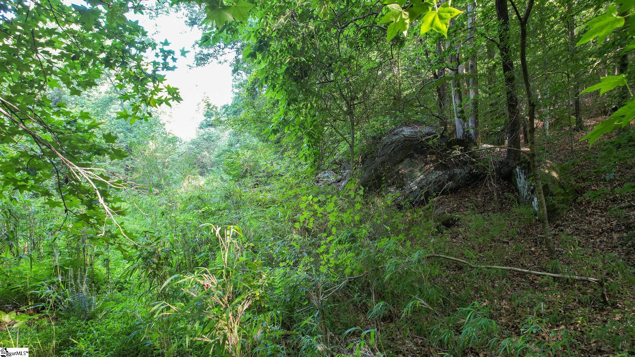 00 Woodbine Road Liberty, SC 29657