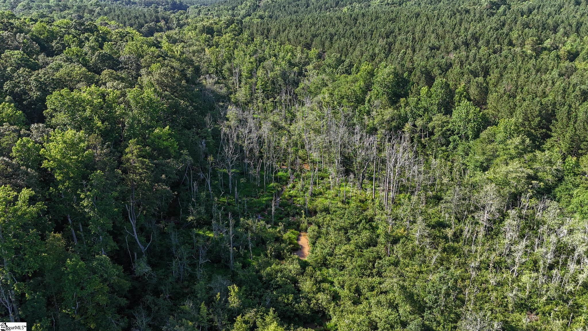 00 Woodbine Road Liberty, SC 29657