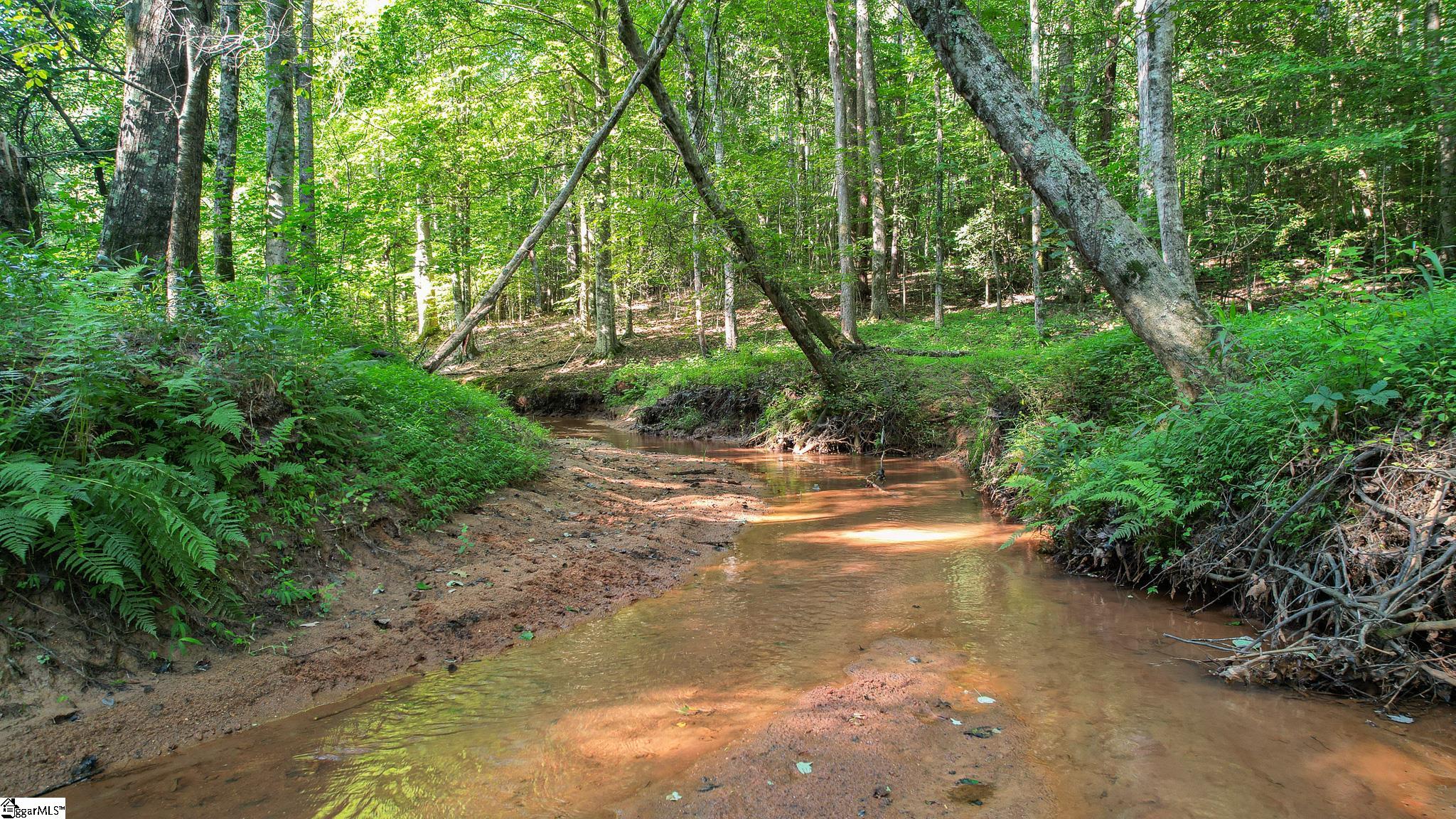 00 Woodbine Road Liberty, SC 29657