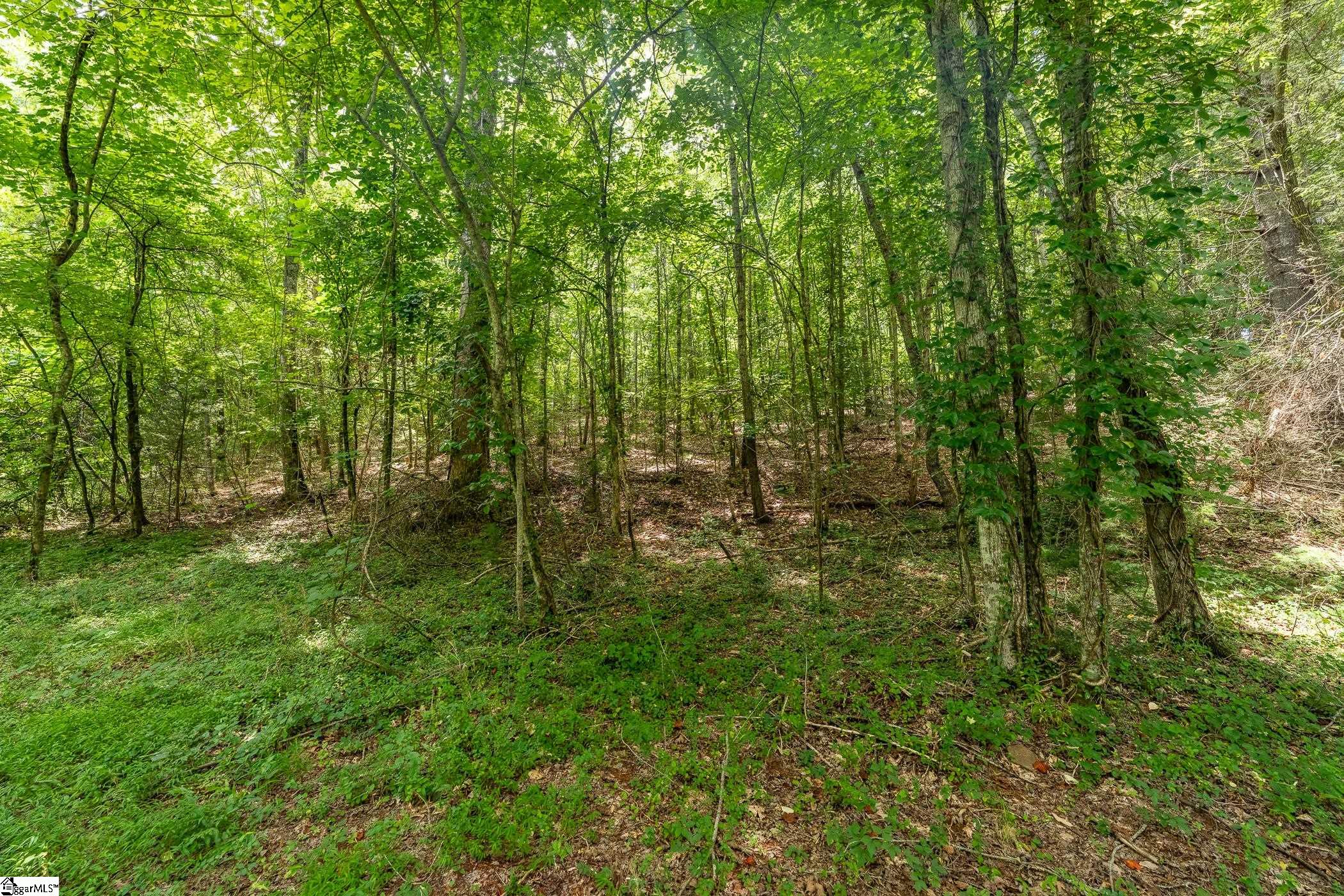00 Hidden Valley Road Pickens, SC 29671