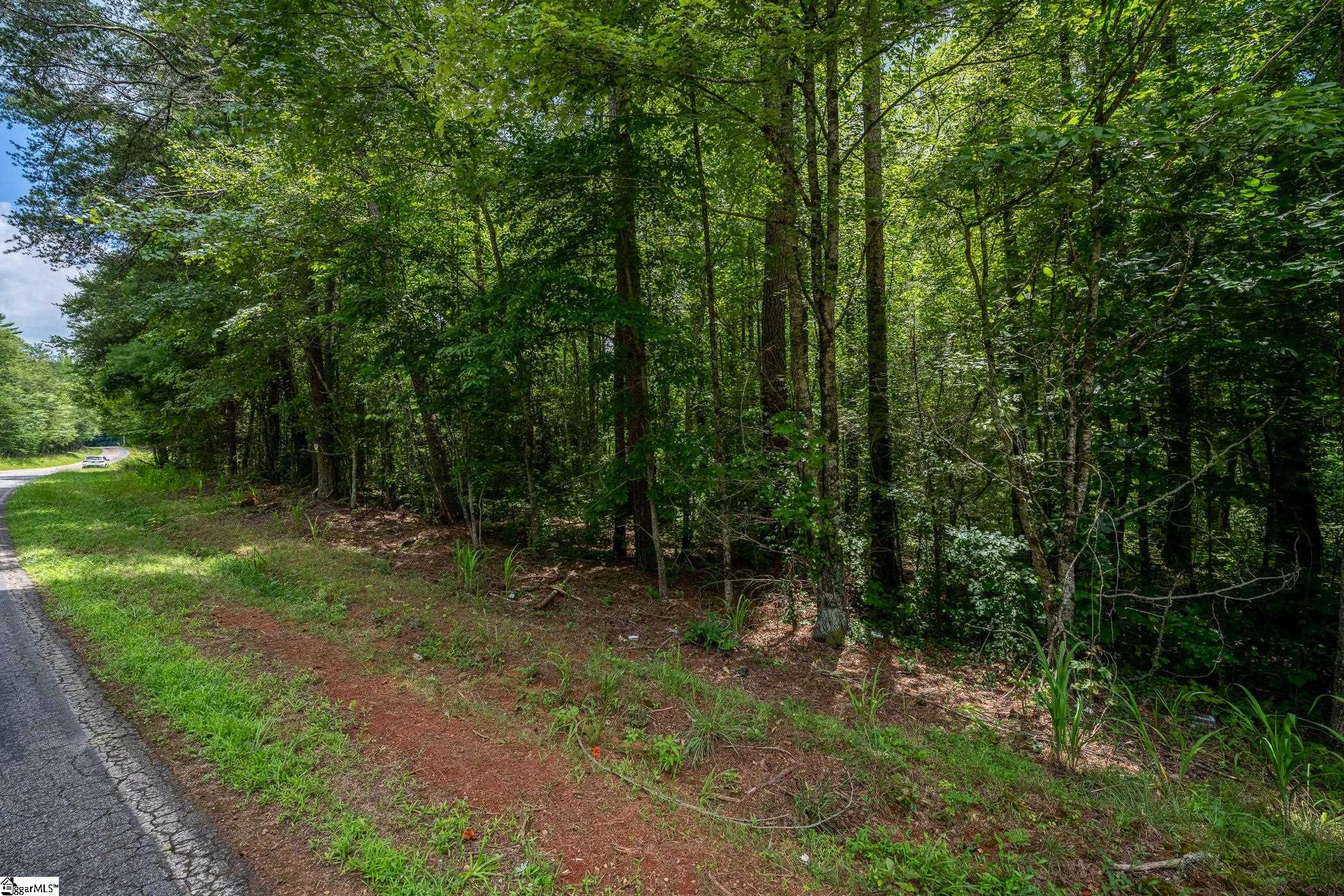 00 Hidden Valley Road Pickens, SC 29671