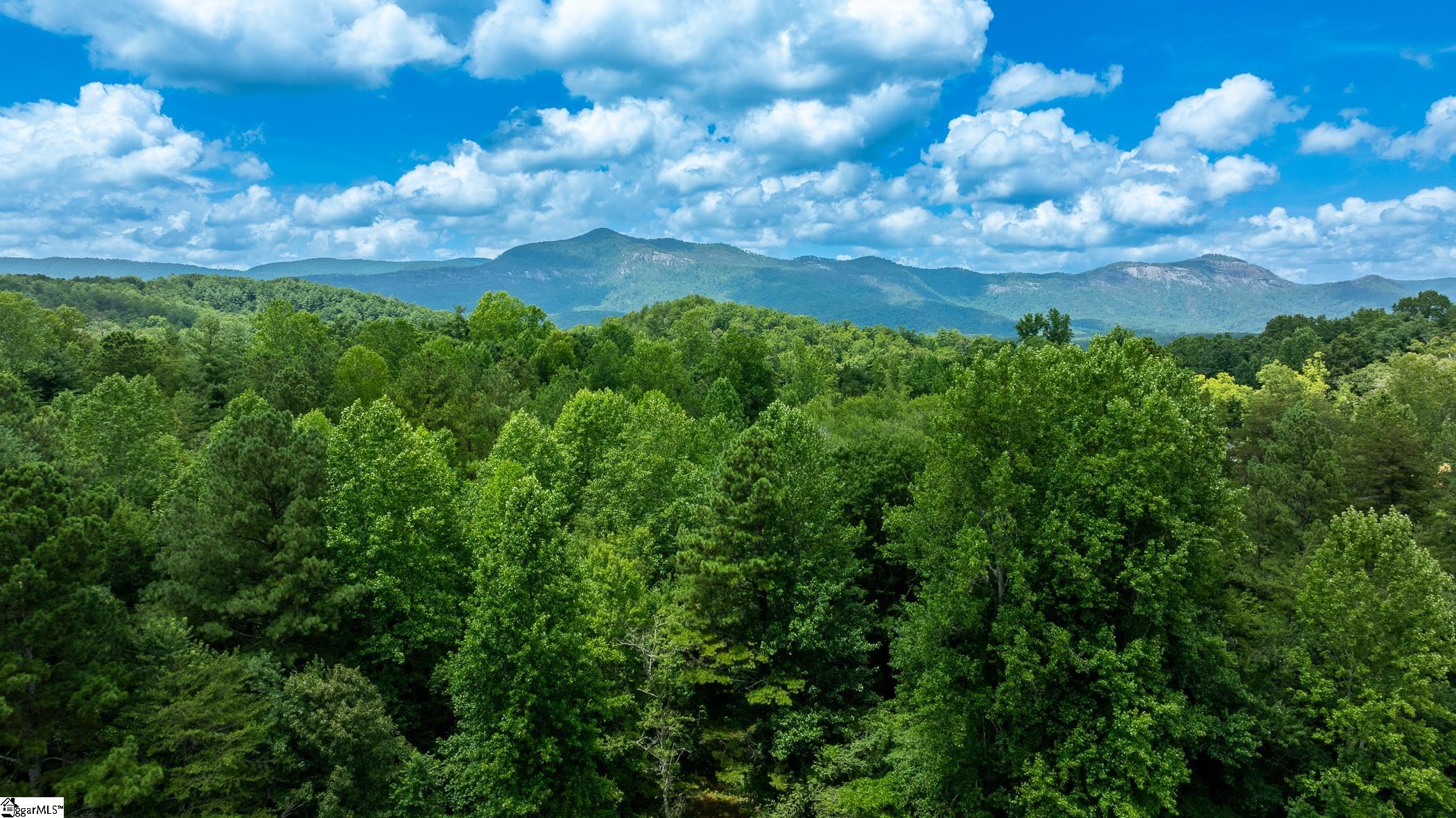 00 Hidden Valley Road Pickens, SC 29671