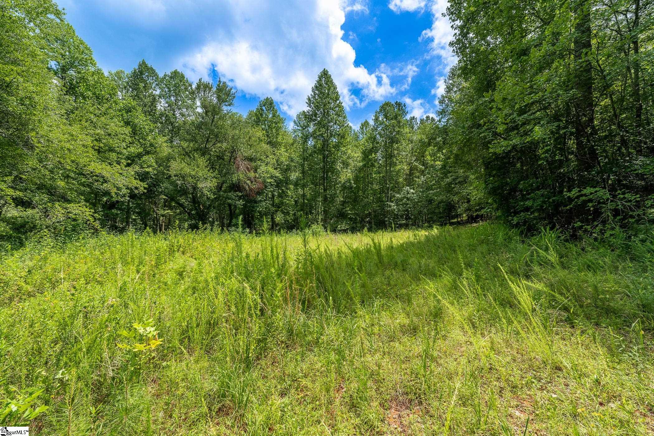 00 Hidden Valley Road Pickens, SC 29671