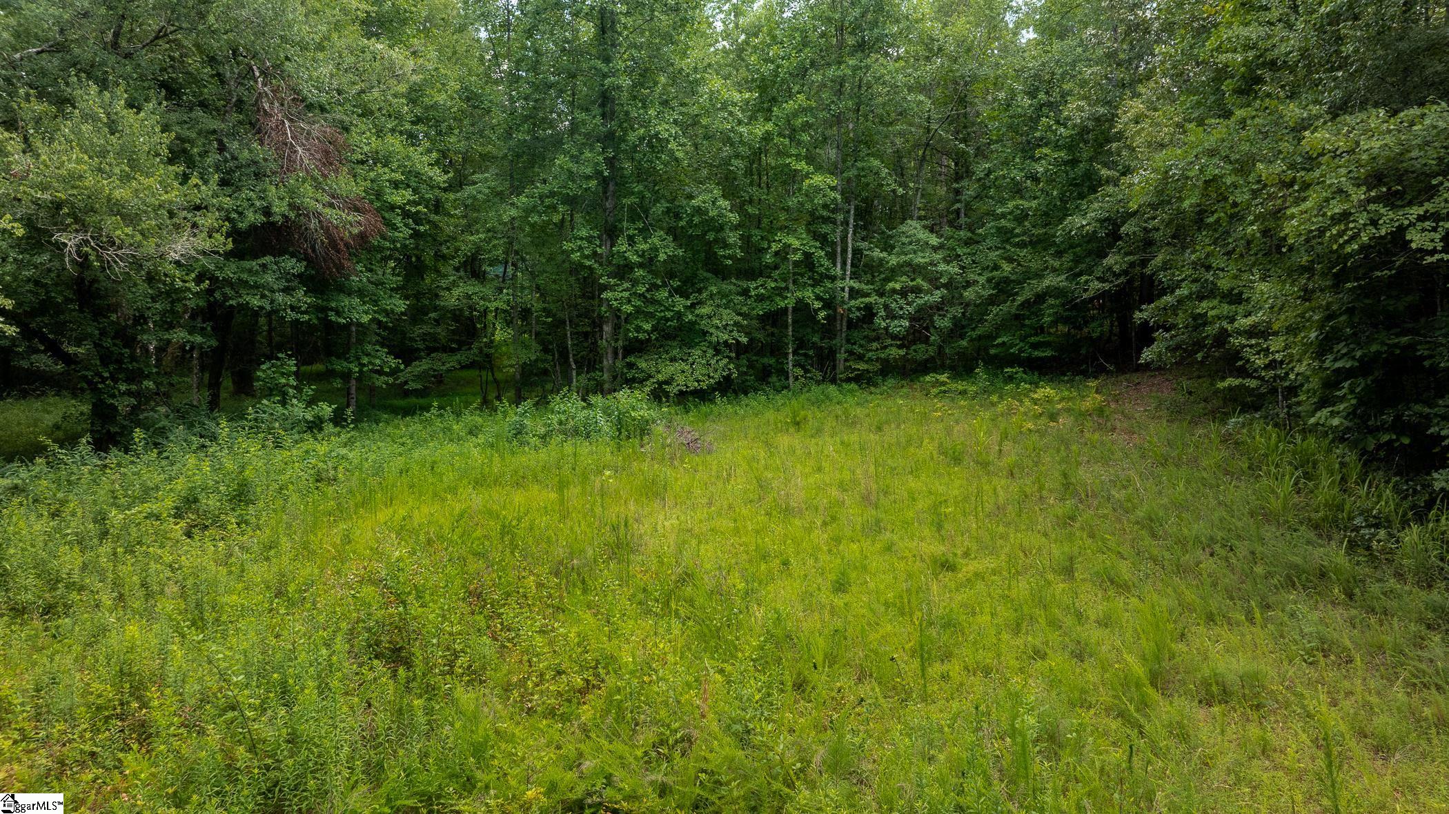 00 Hidden Valley Road Pickens, SC 29671