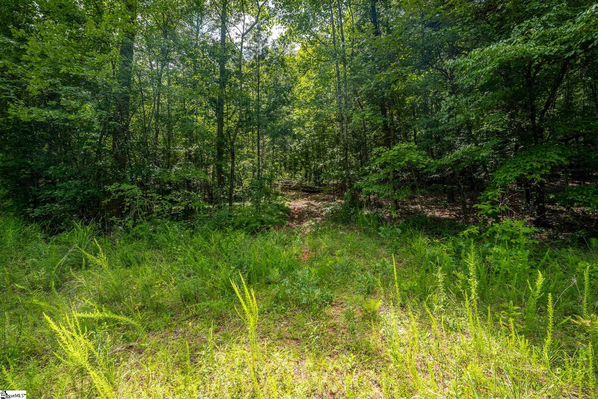 00 Hidden Valley Road Pickens, SC 29671