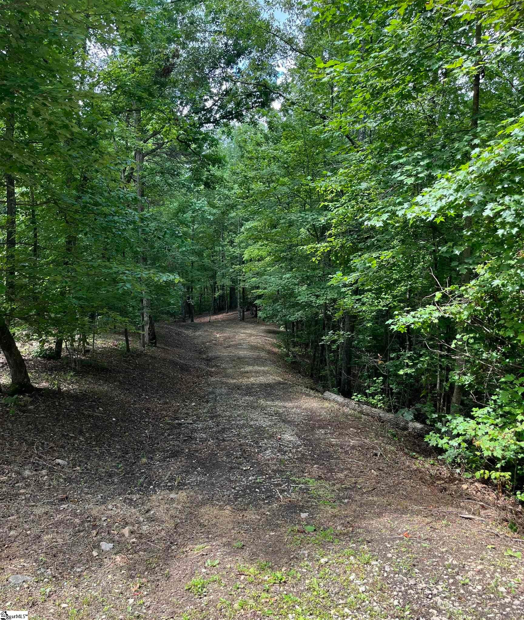 Darting Sparrow Way Marietta, SC 29661