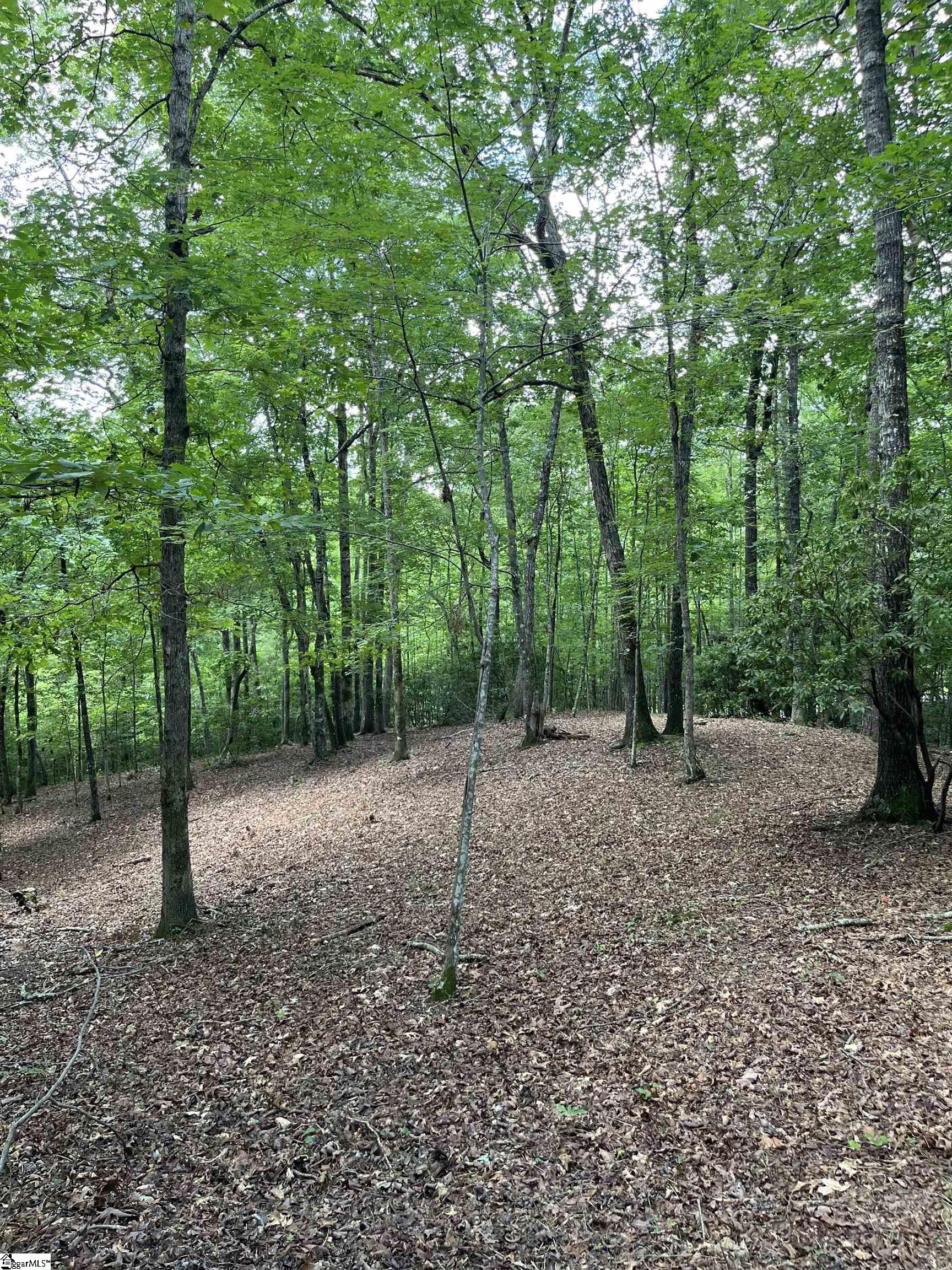 Darting Sparrow Way Marietta, SC 29661