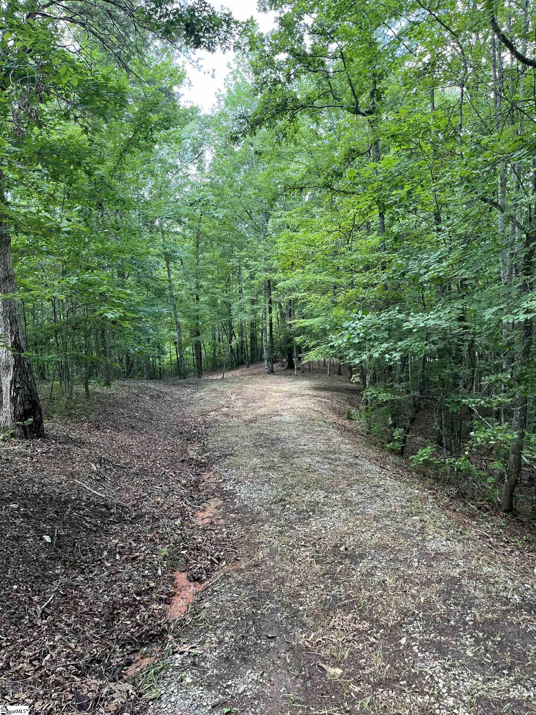 Darting Sparrow Way Marietta, SC 29661