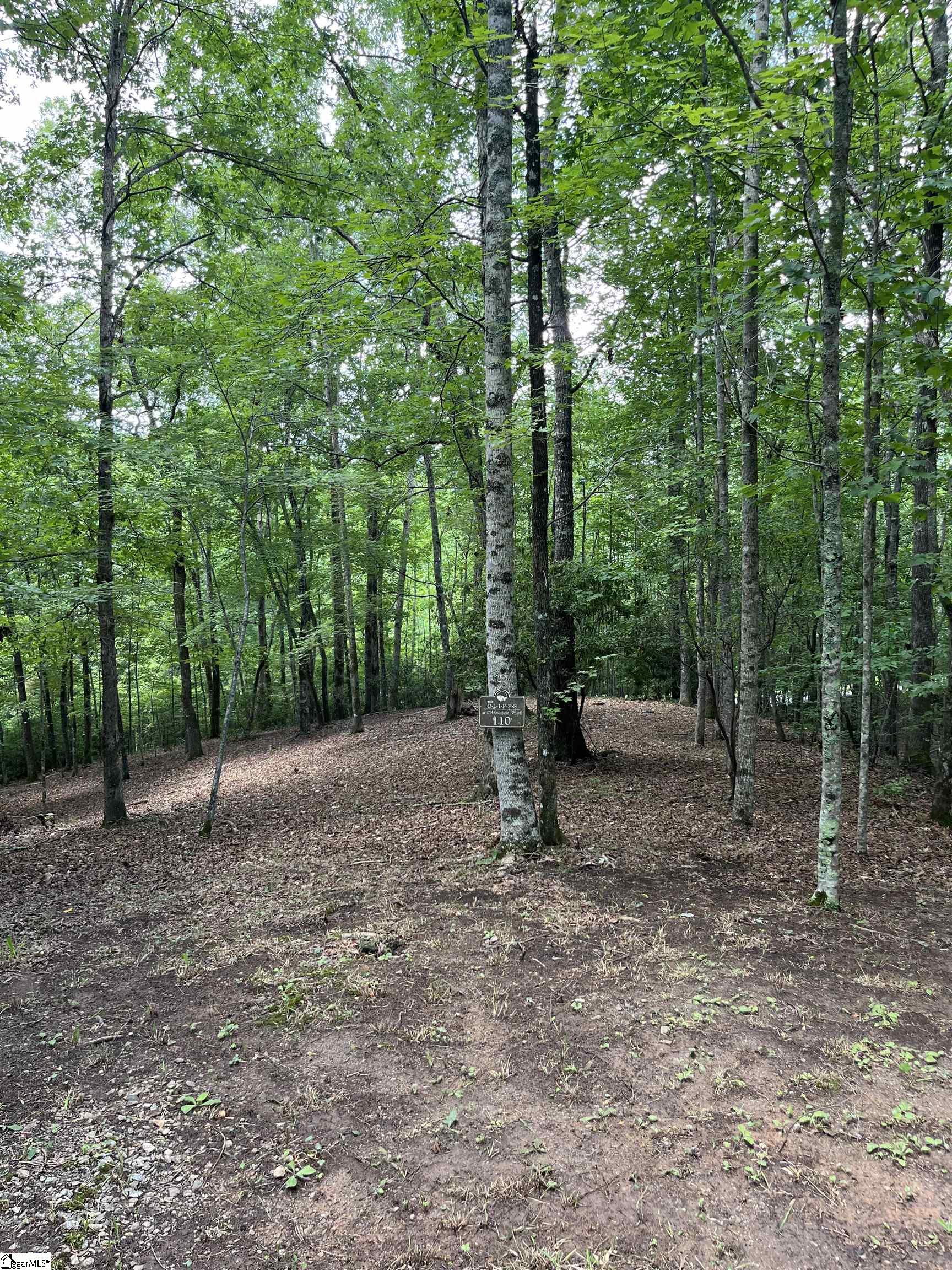 Darting Sparrow Way Marietta, SC 29661