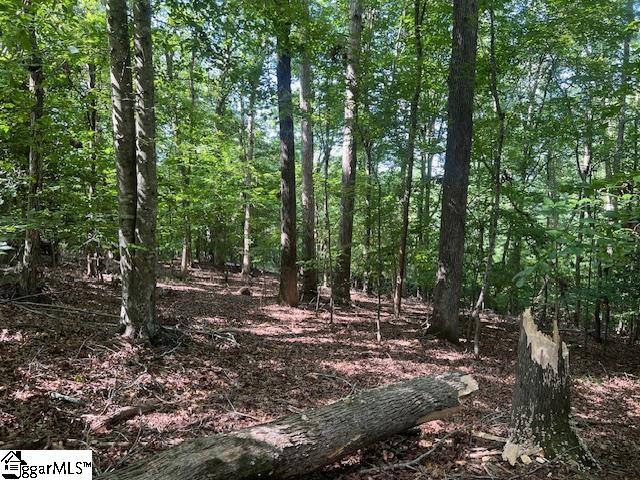 158 Latham Drive Anderson, SC 29621