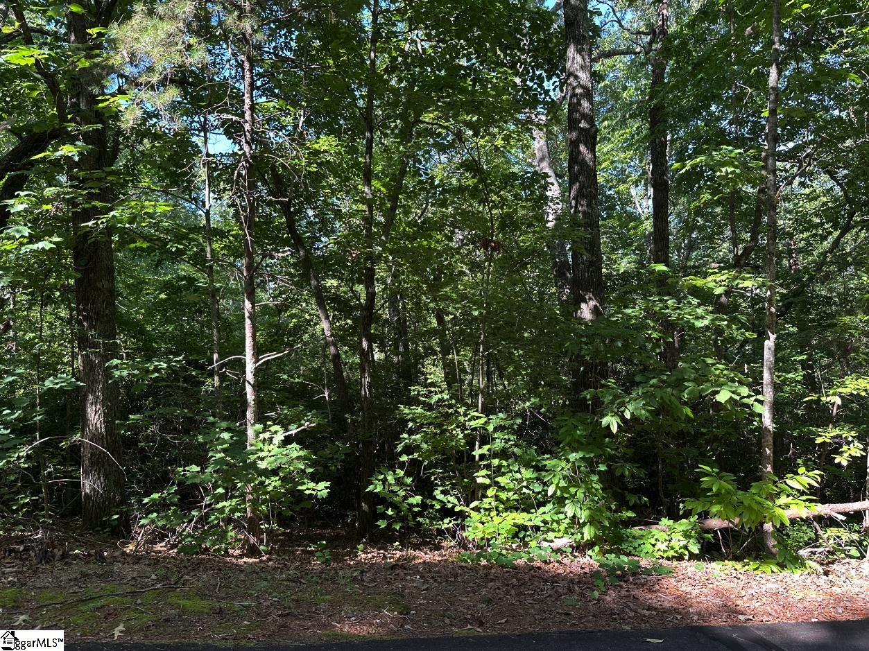 201 Cabernet Way Travelers Rest, SC 29690