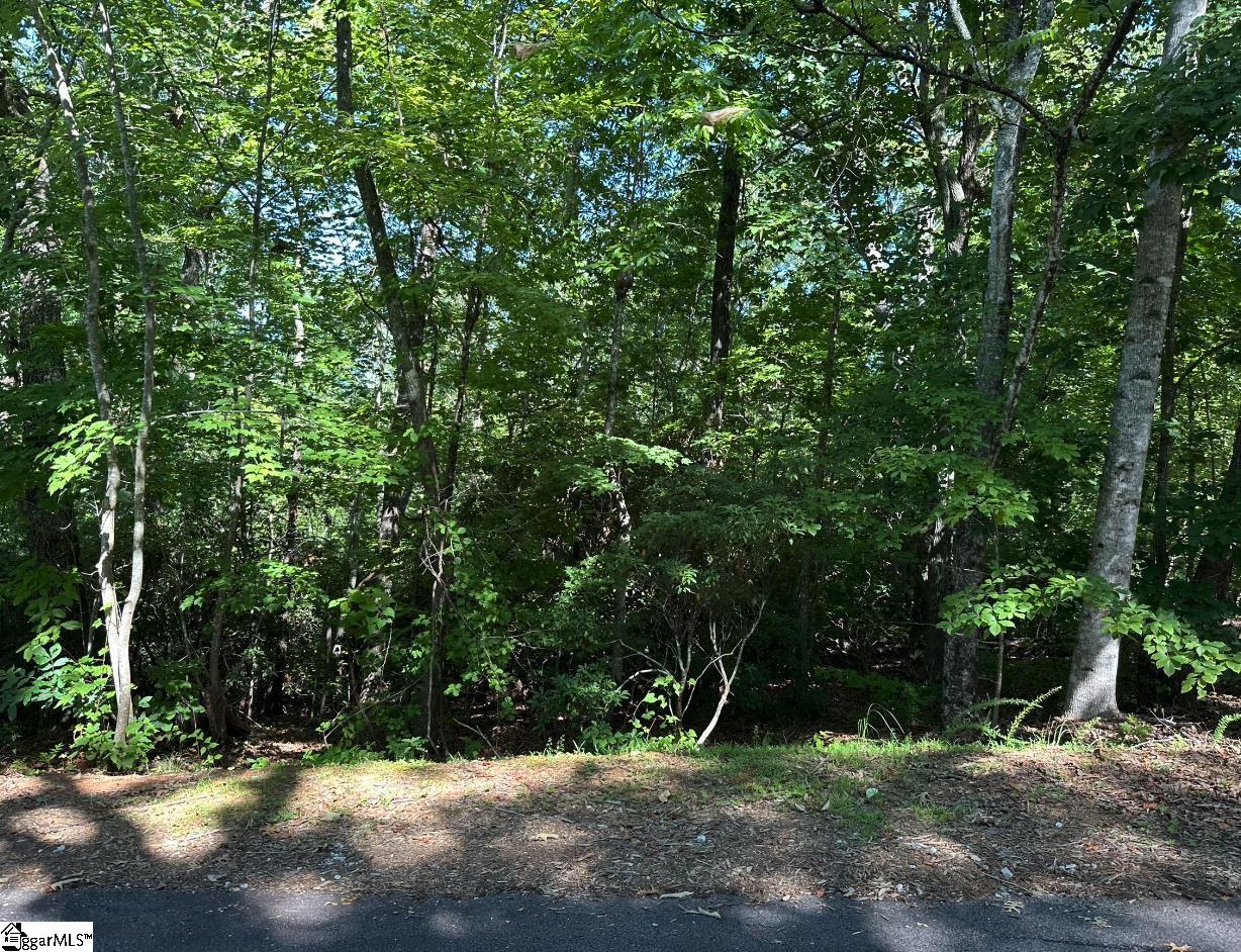 201 Cabernet Way Travelers Rest, SC 29690