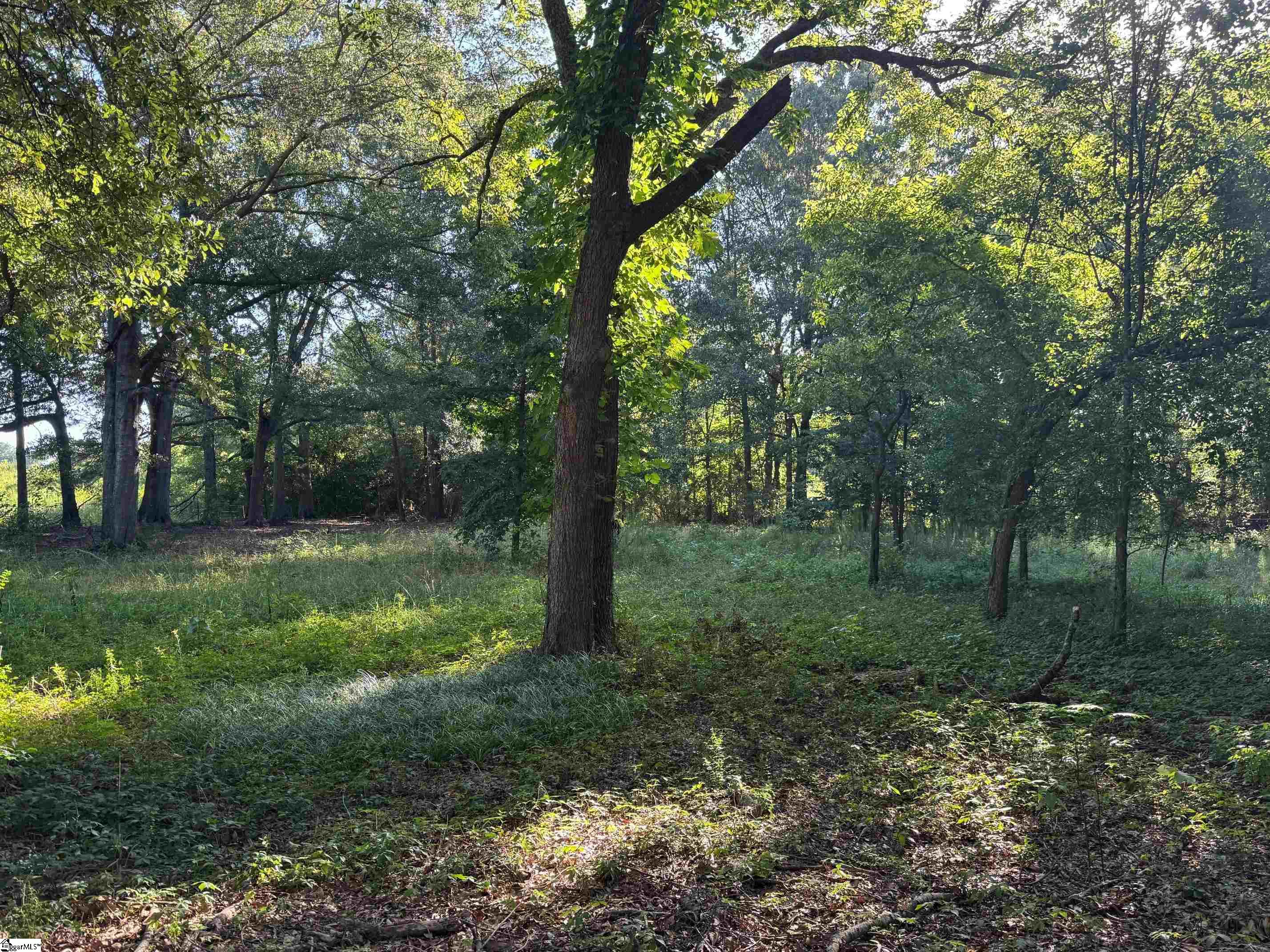 1611 W Georgia Road Simpsonville, SC 29680