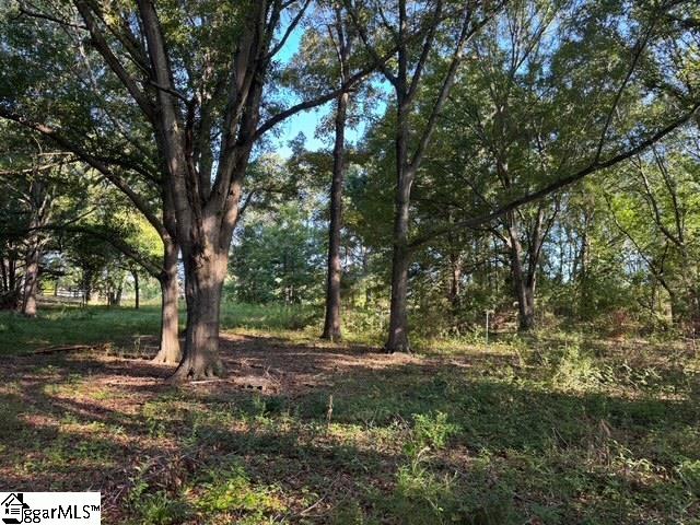 1611 W Georgia Road Simpsonville, SC 29680