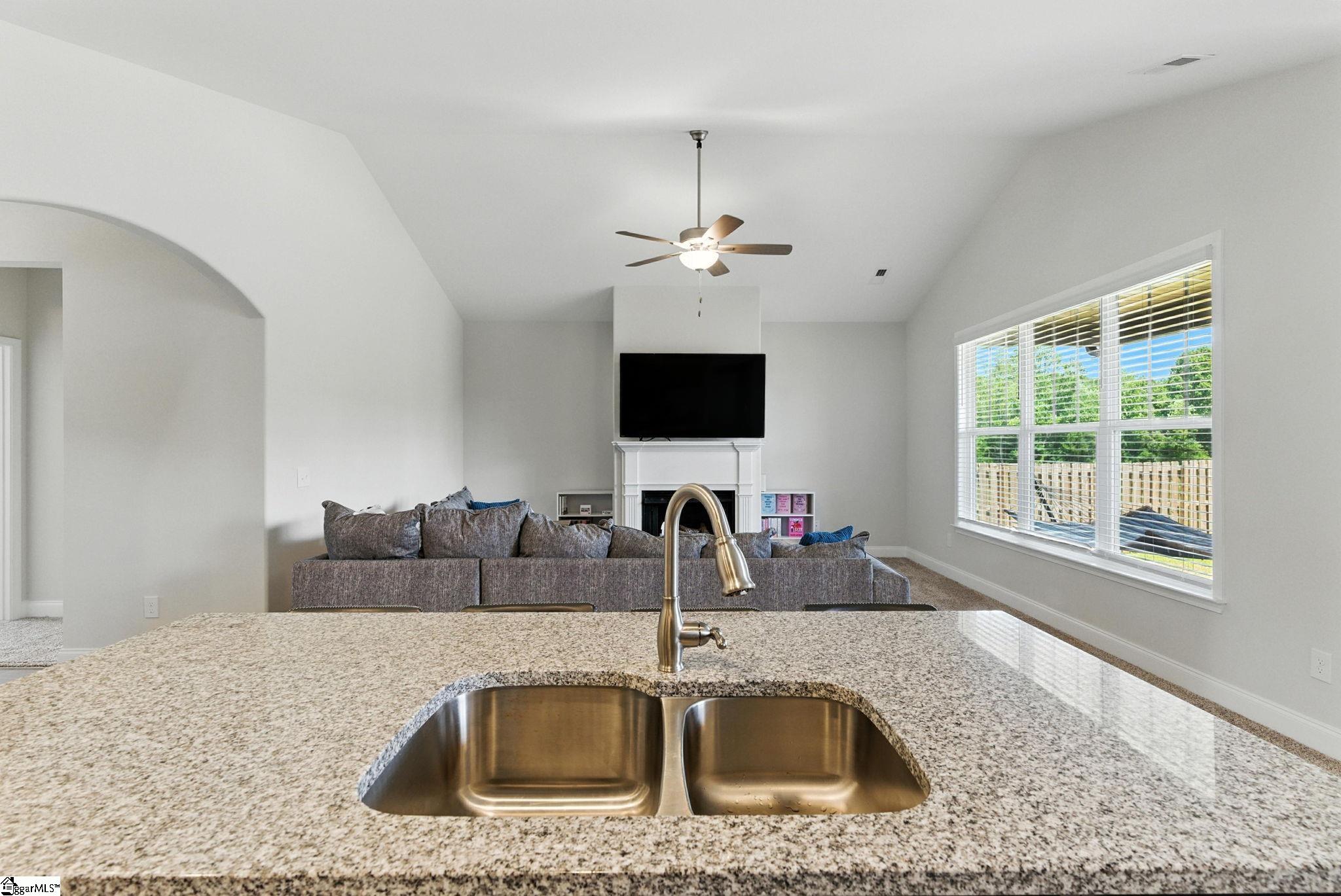 209 Abelia Meadows Drive Piedmont, SC 29673
