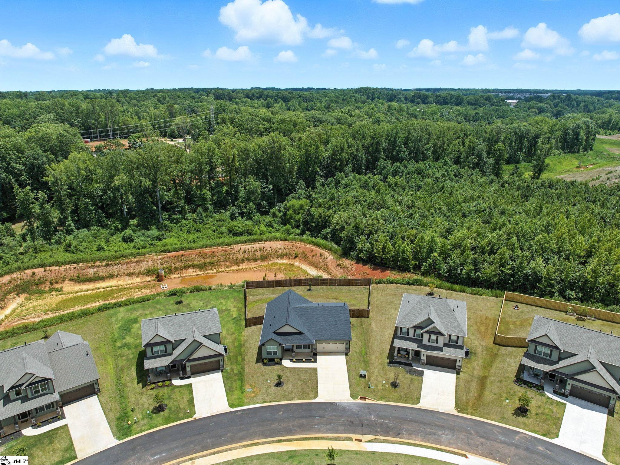 209 Abelia Meadows Drive Piedmont, SC 29673