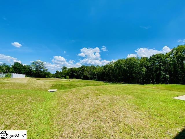 1513 Rosegrath Lane Greer, SC 29651