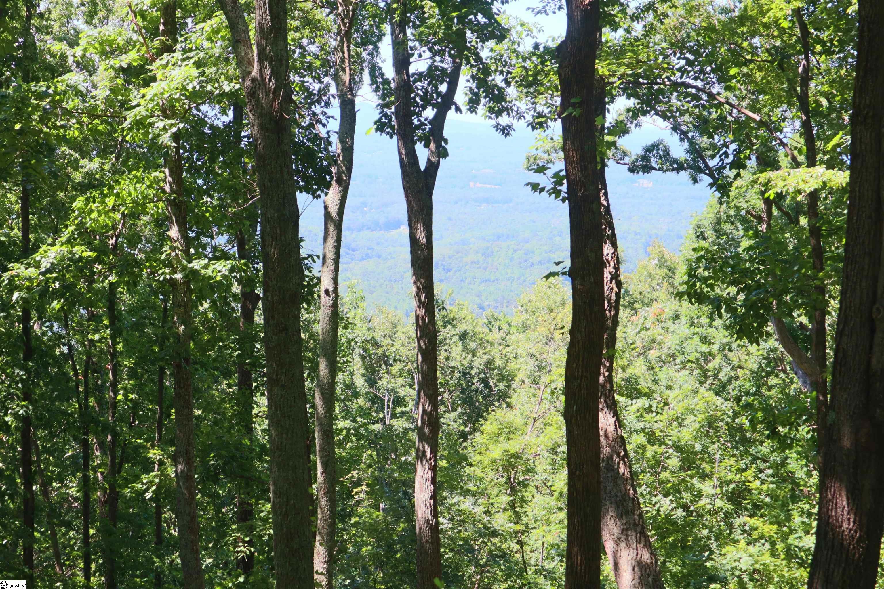 233 Southview Ledge Road Landrum, SC 29356