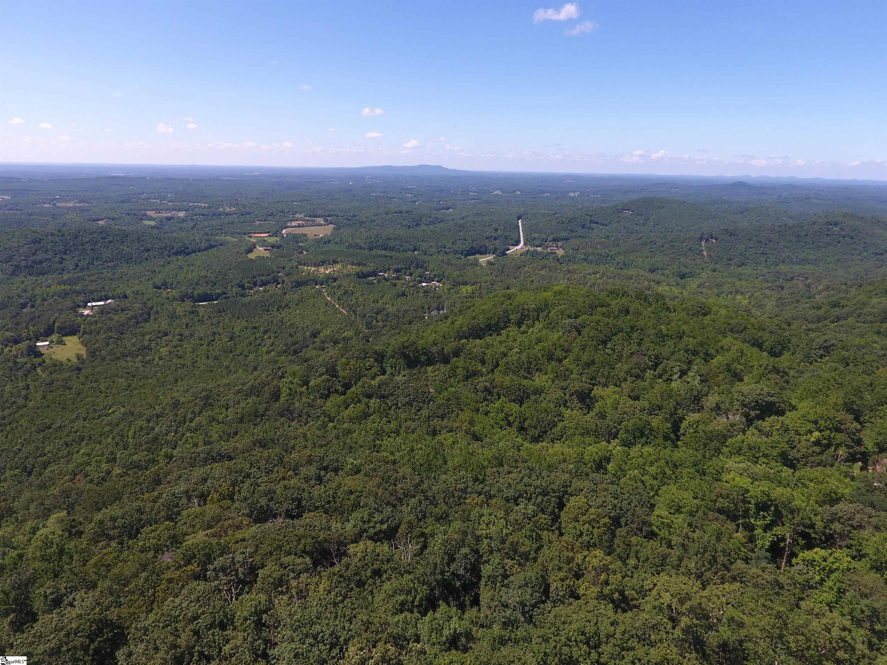 233 Southview Ledge Road Landrum, SC 29356