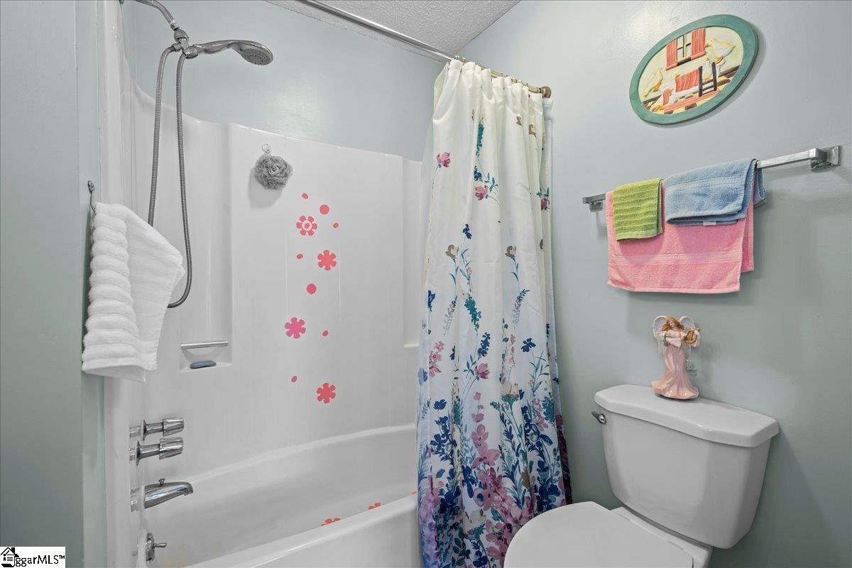 17 Bear Grass Court Greenville, SC 29605